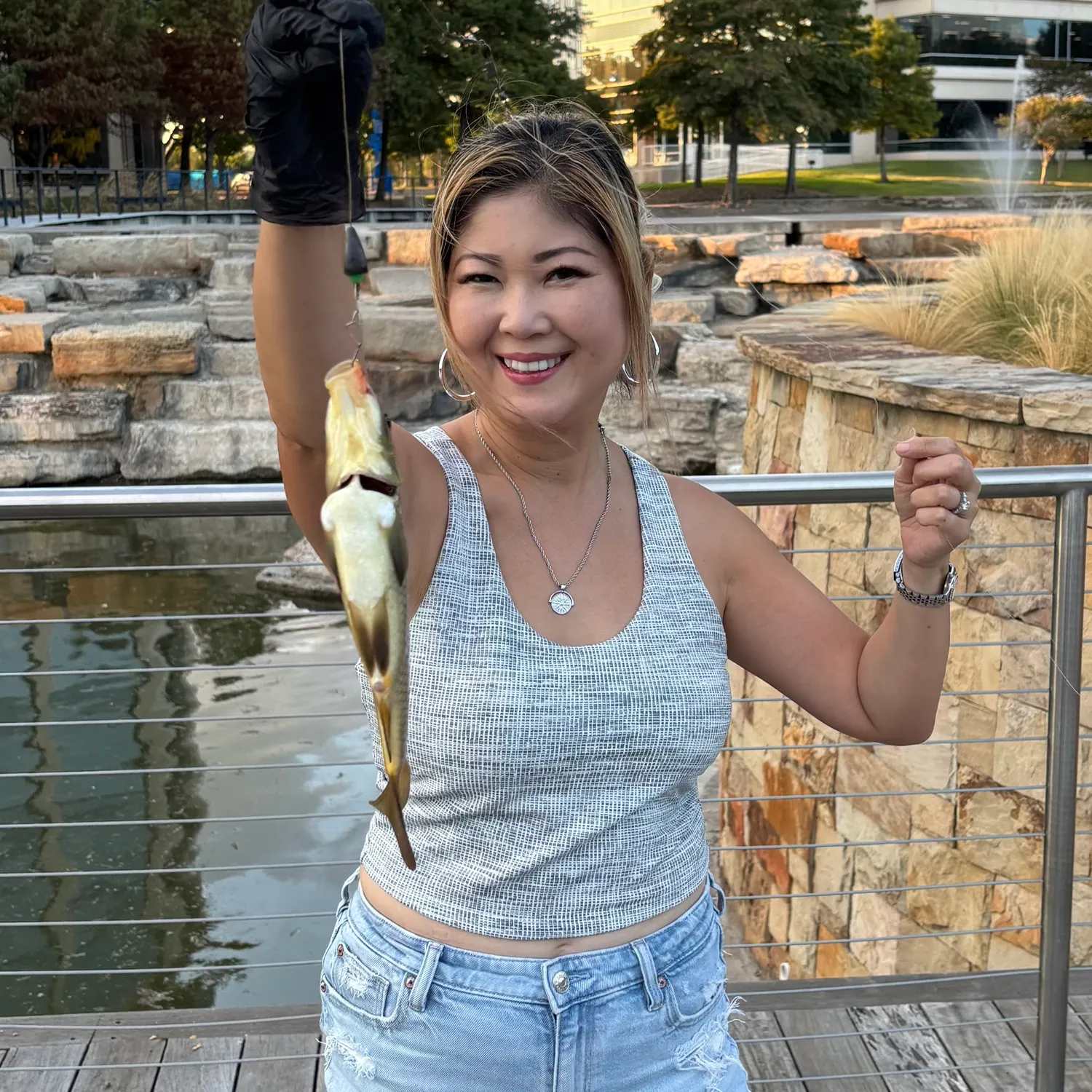 Common carp caught on Fishbrain