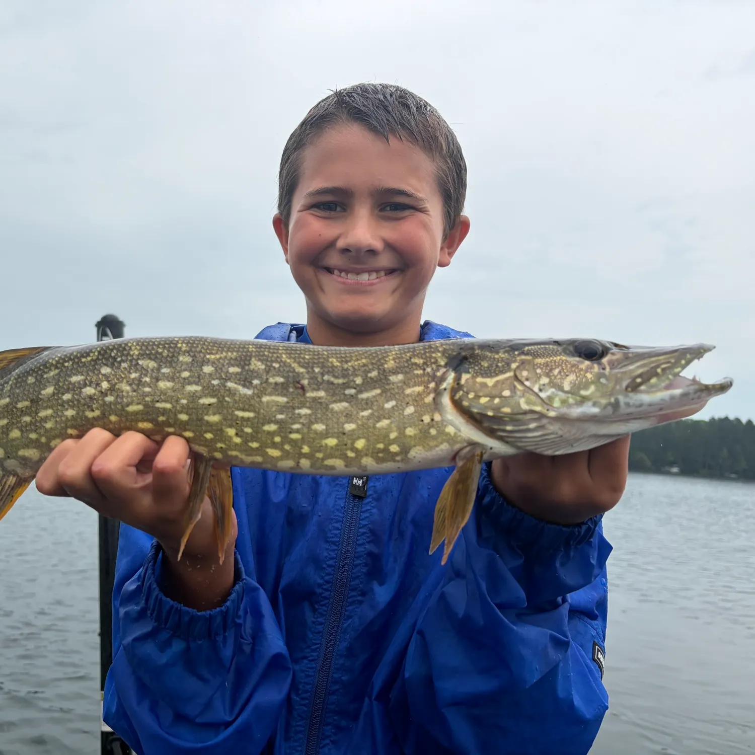 Northern pike caught on Fishbrain