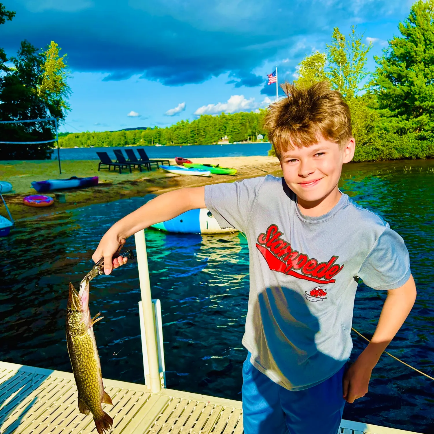 Chain pickerel caught on Fishbrain