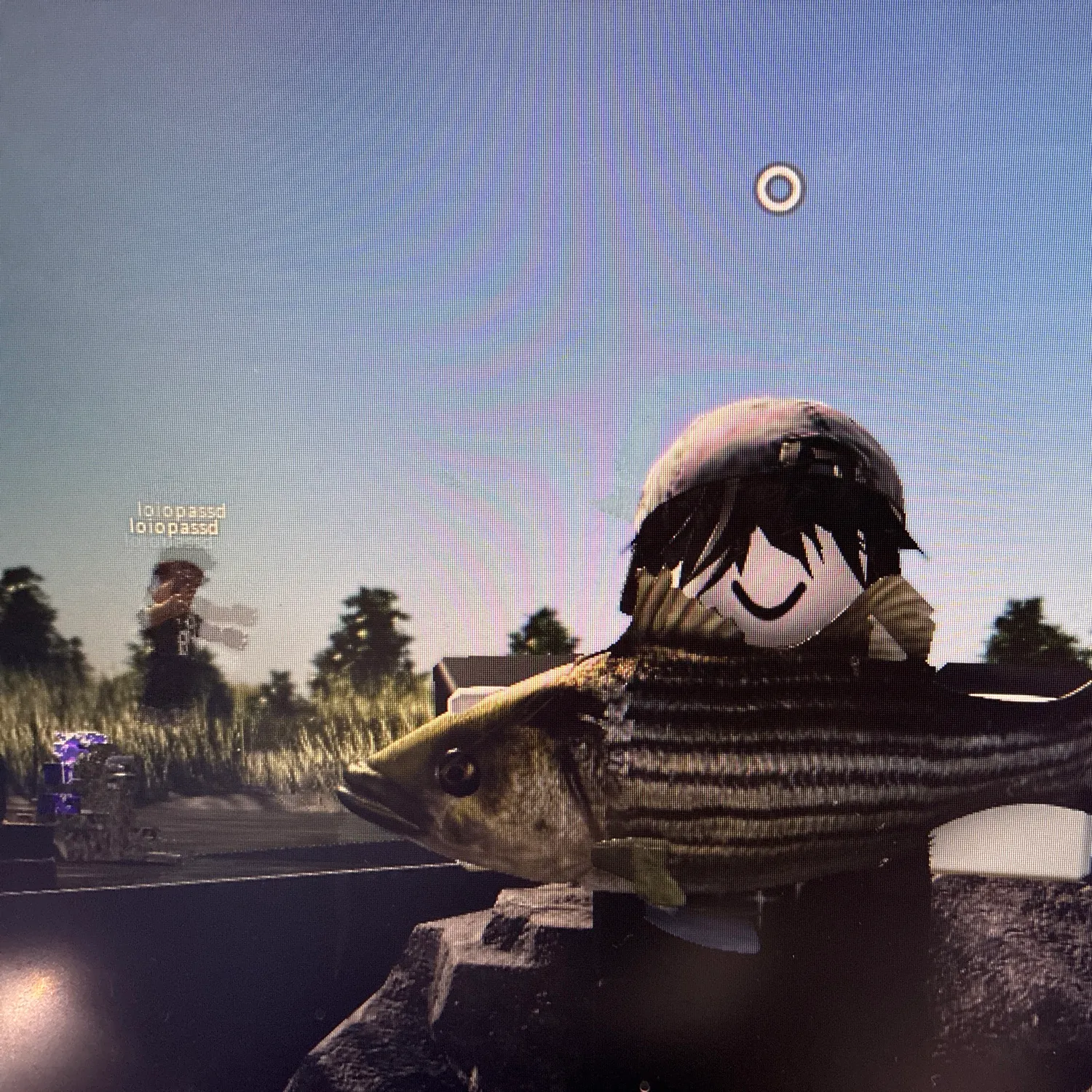 Striped bass caught on Fishbrain