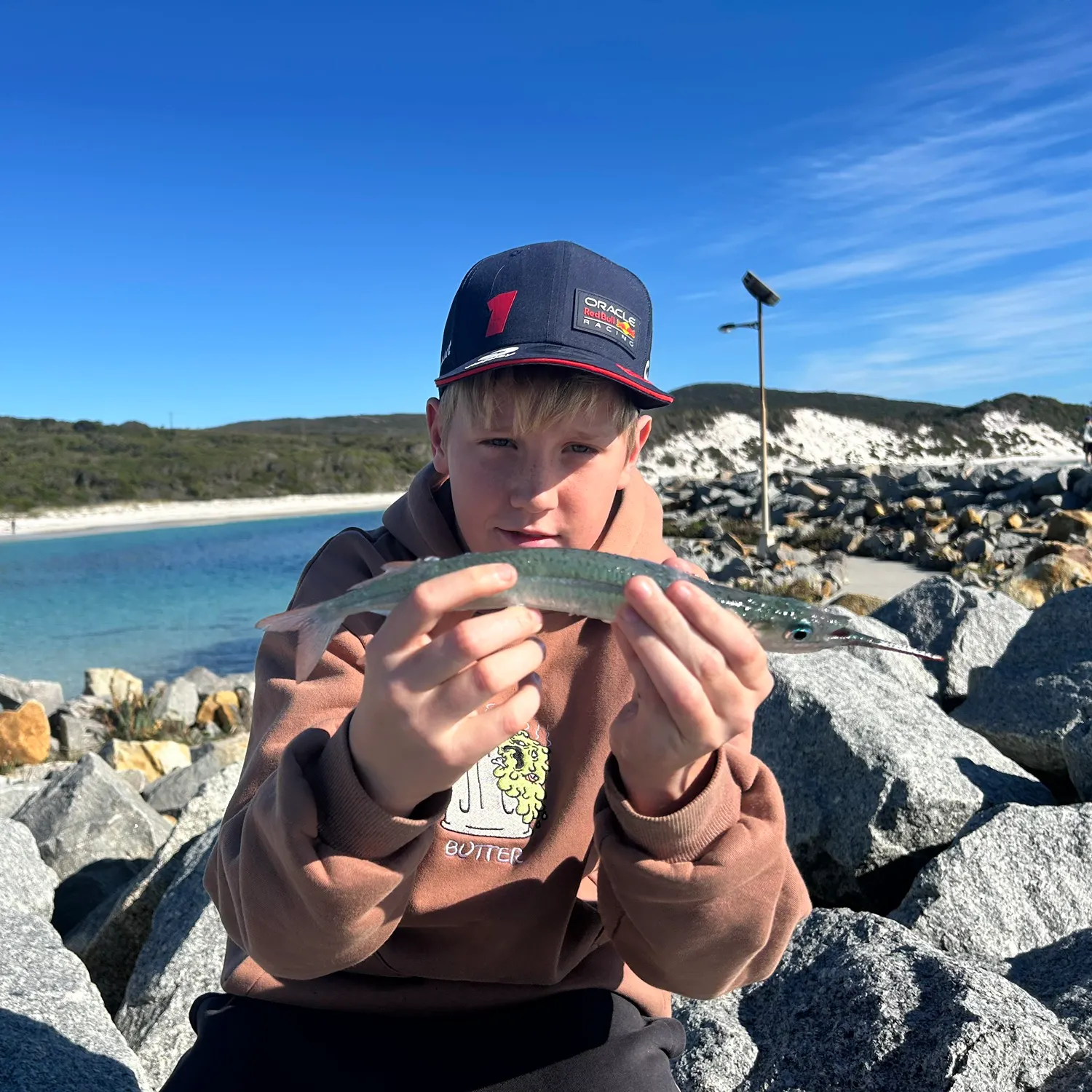 The most recent Eastern sea garfish catches on Fishbrain