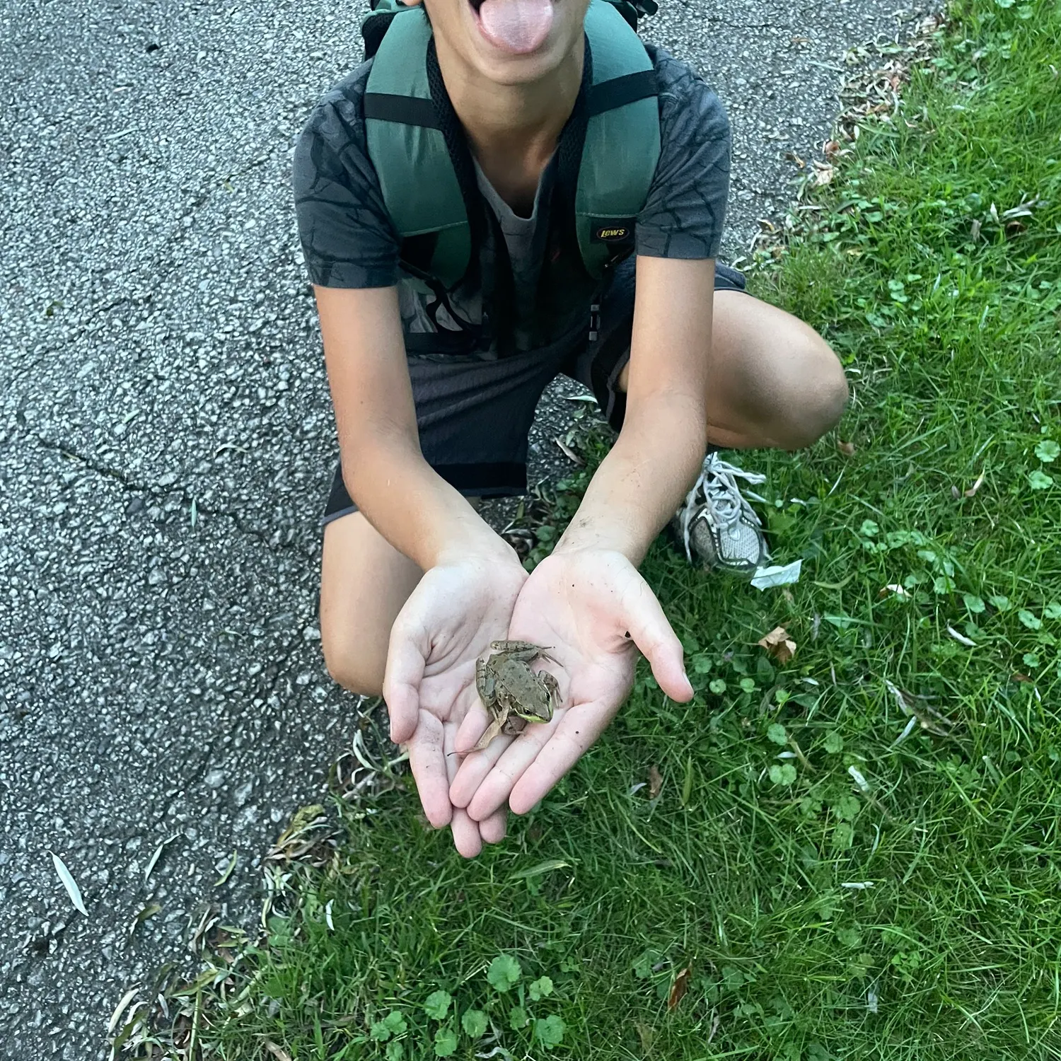 The most recent Pickerel frog catches on Fishbrain