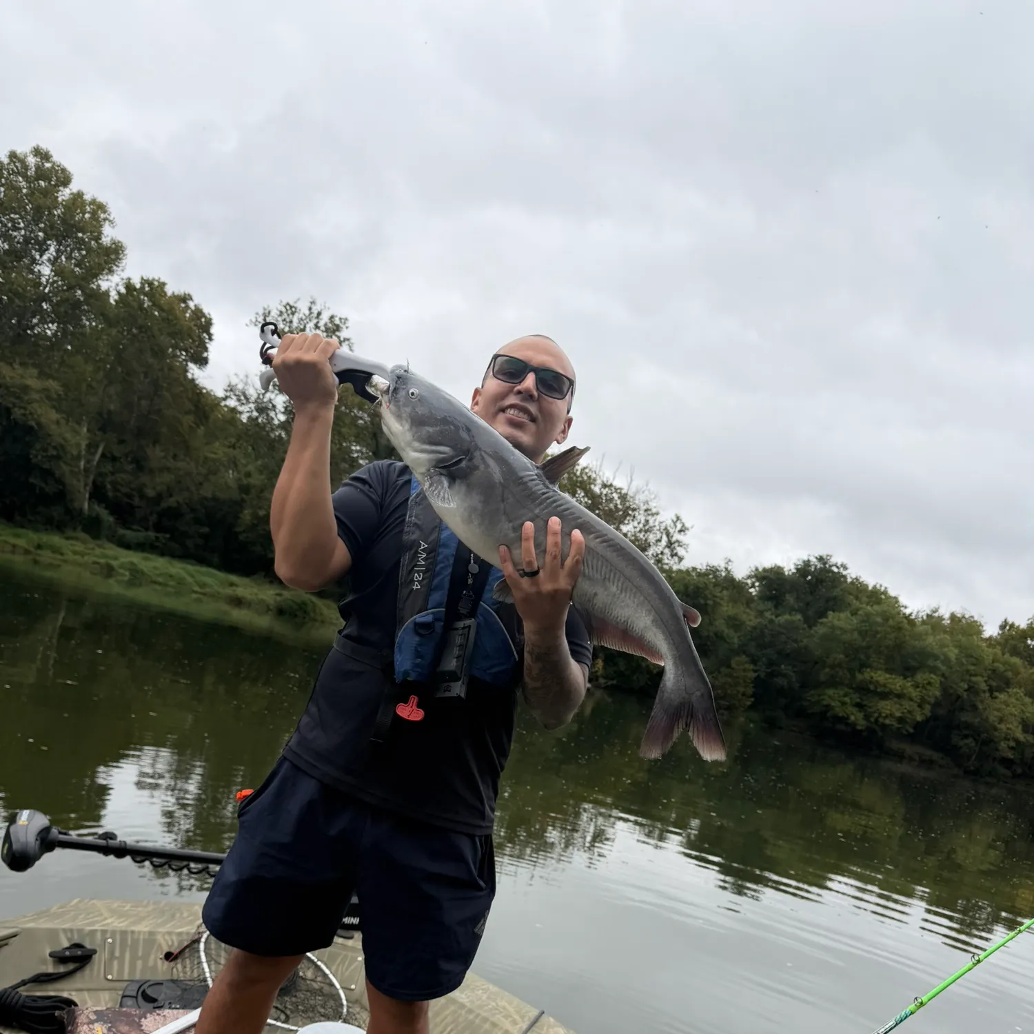 Blue catfish caught on Fishbrain