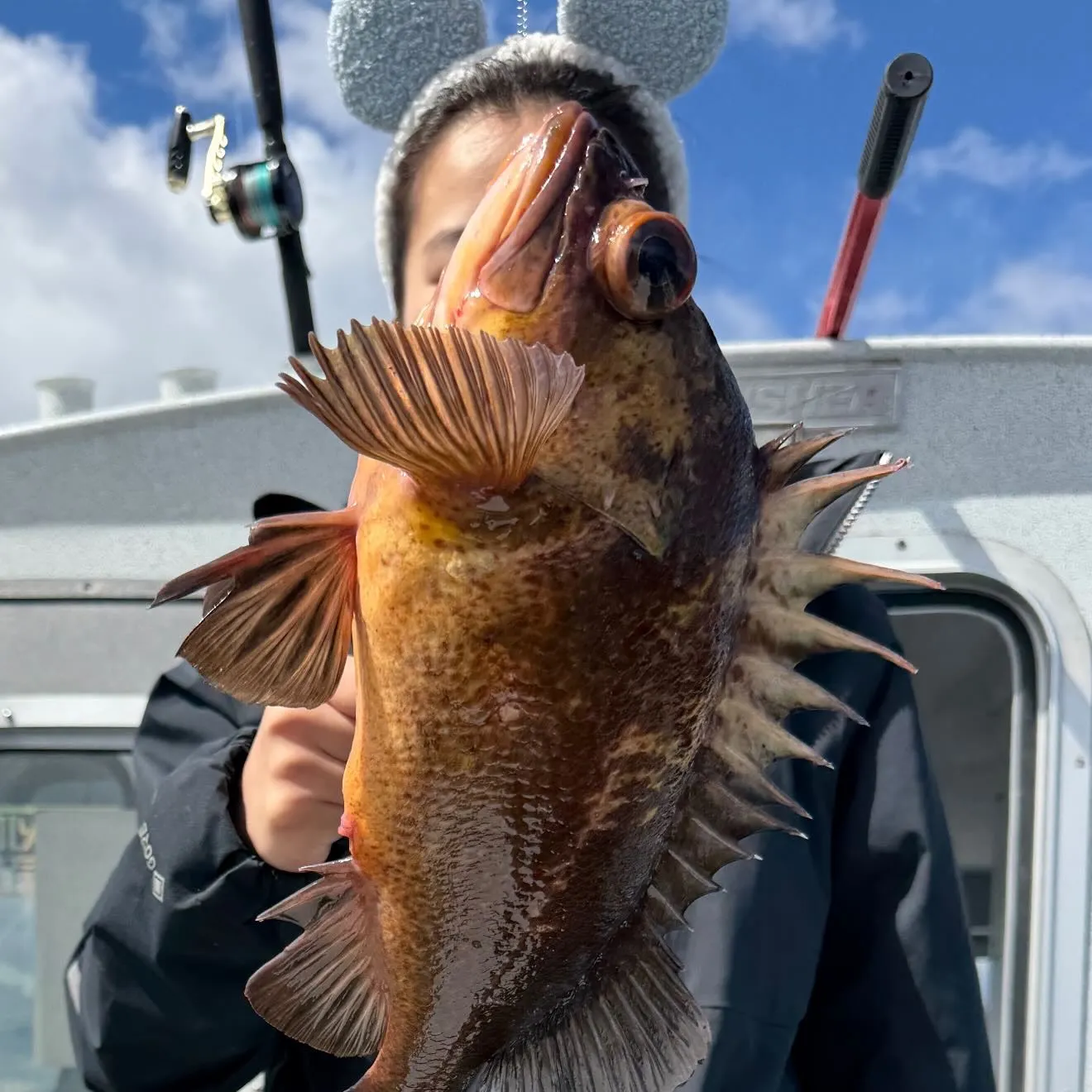 The most recent Quillback rockfish catches on Fishbrain