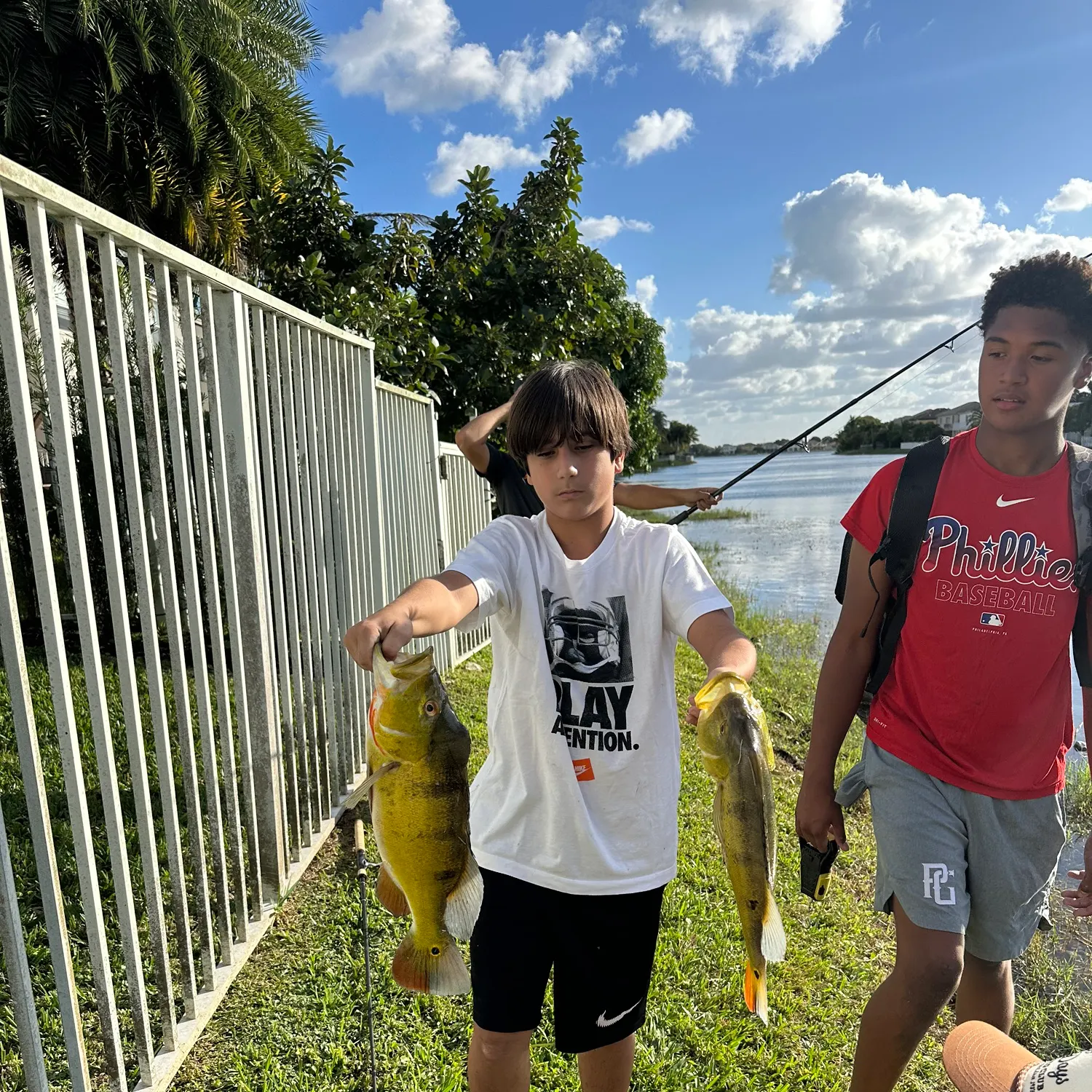 The most recent Butterfly peacock bass catches on Fishbrain