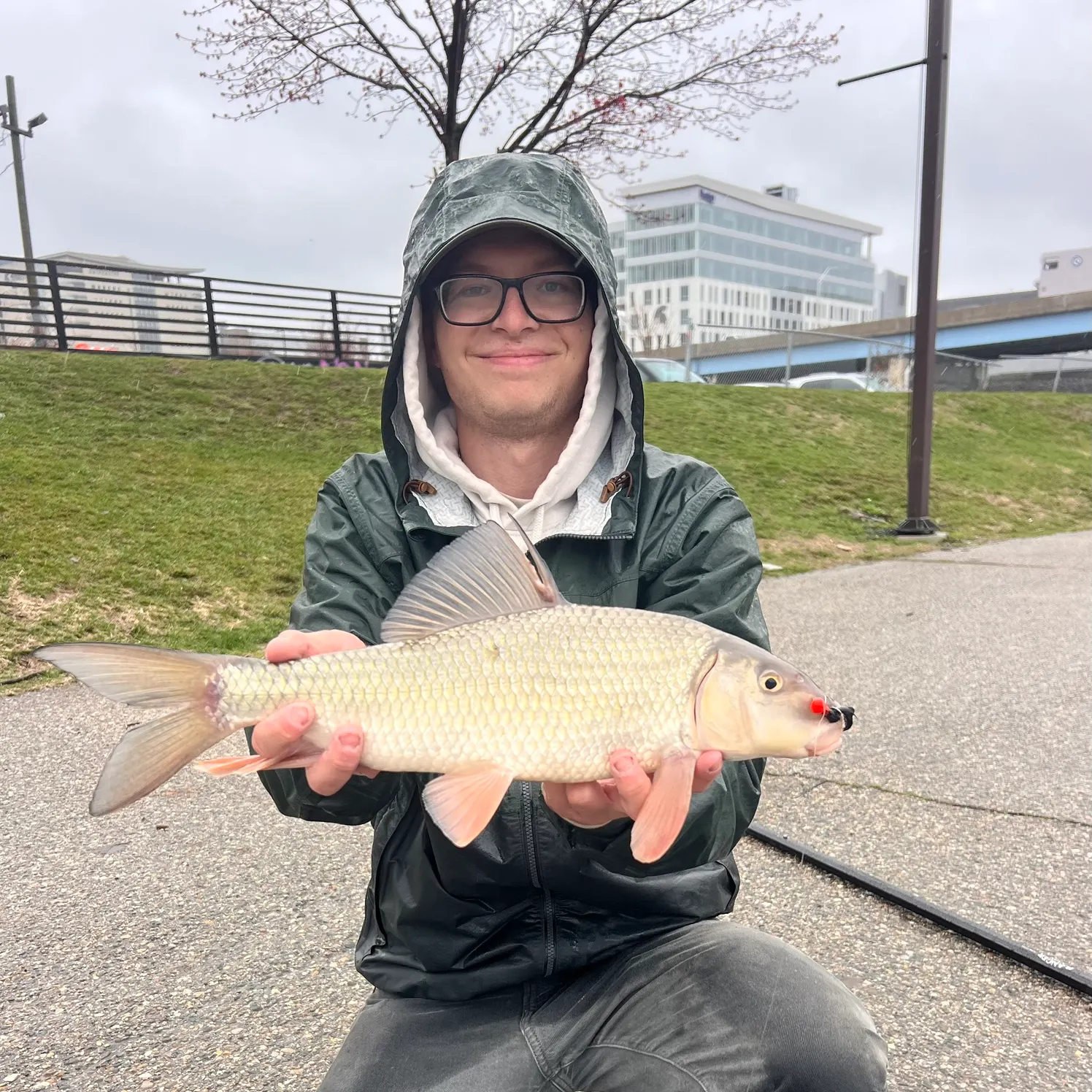 The most recent Silver redhorse catches on Fishbrain