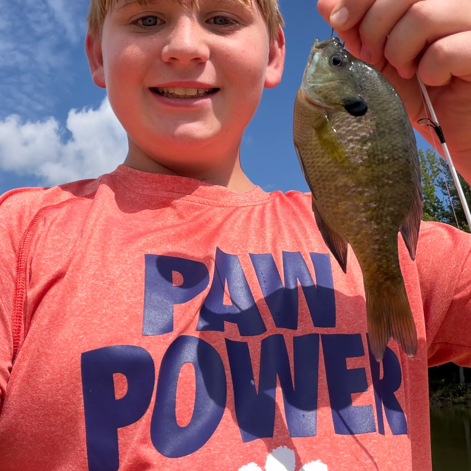 Bluegill caught on Fishbrain