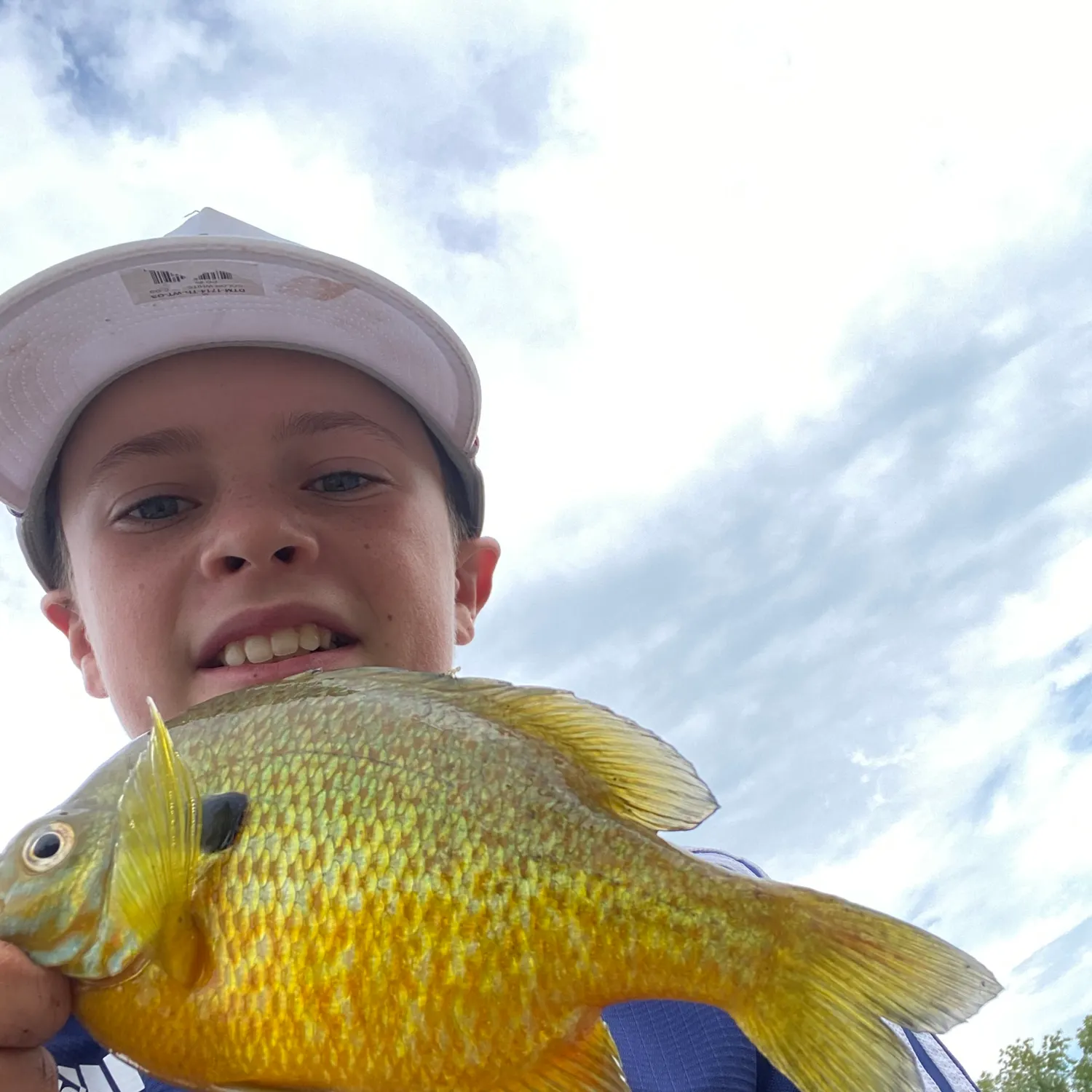Redbreast sunfish caught on Fishbrain