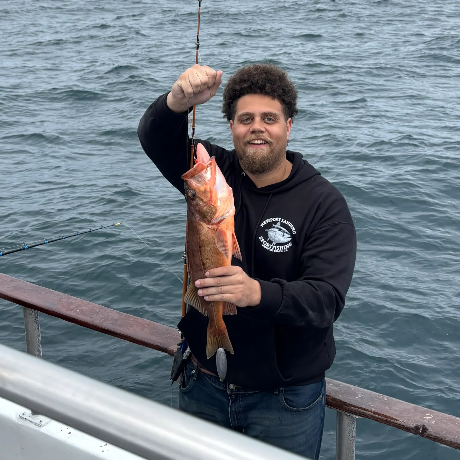 The most recent Bocaccio rockfish catches on Fishbrain