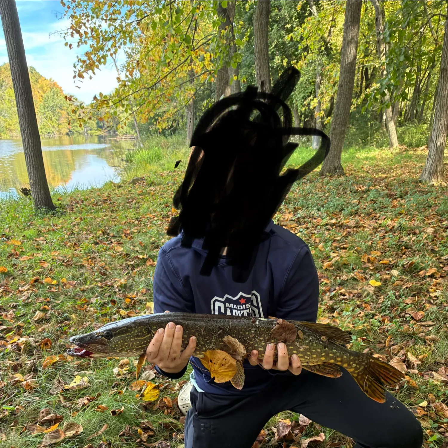 Northern pike caught on Fishbrain