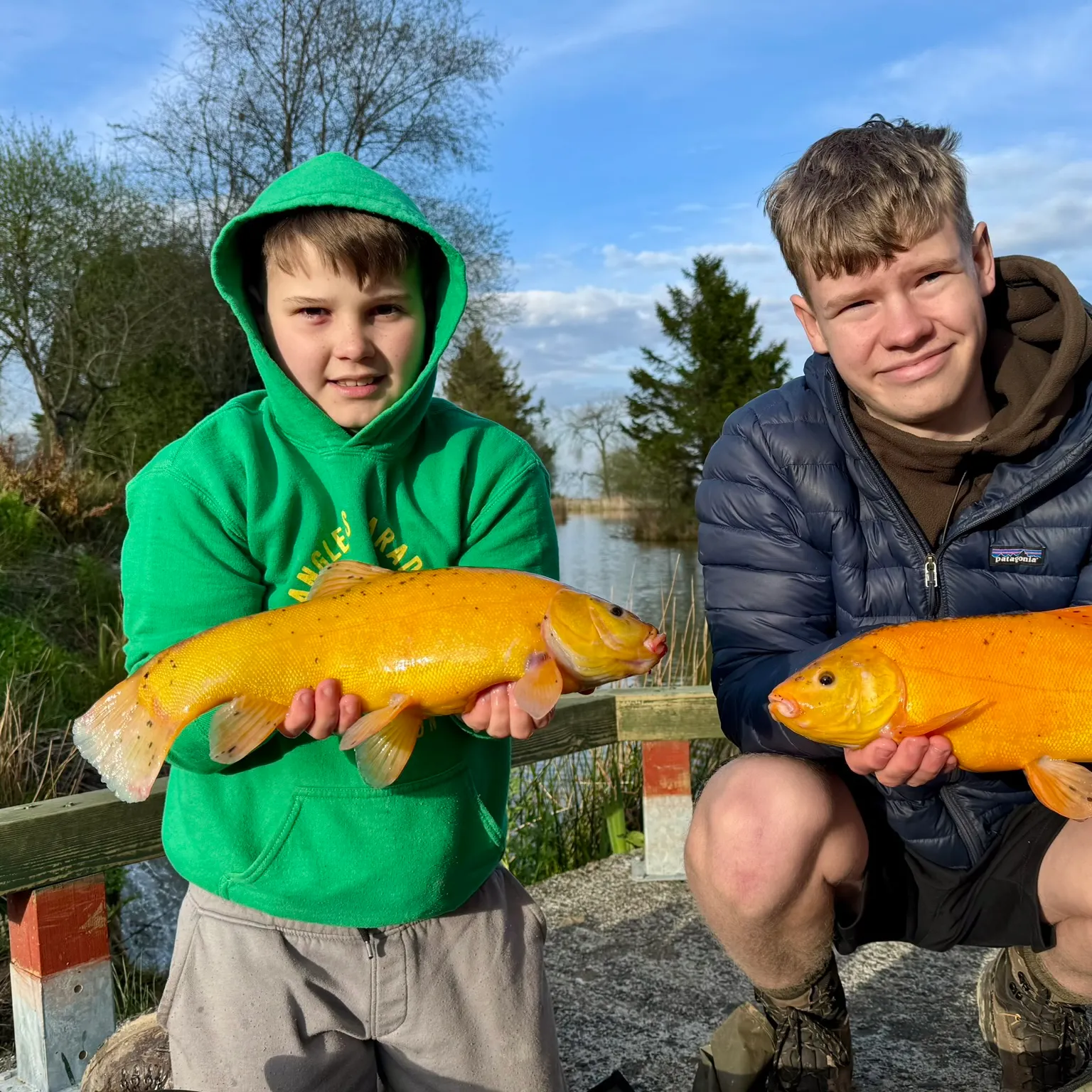 The most recent Golden tench catches on Fishbrain