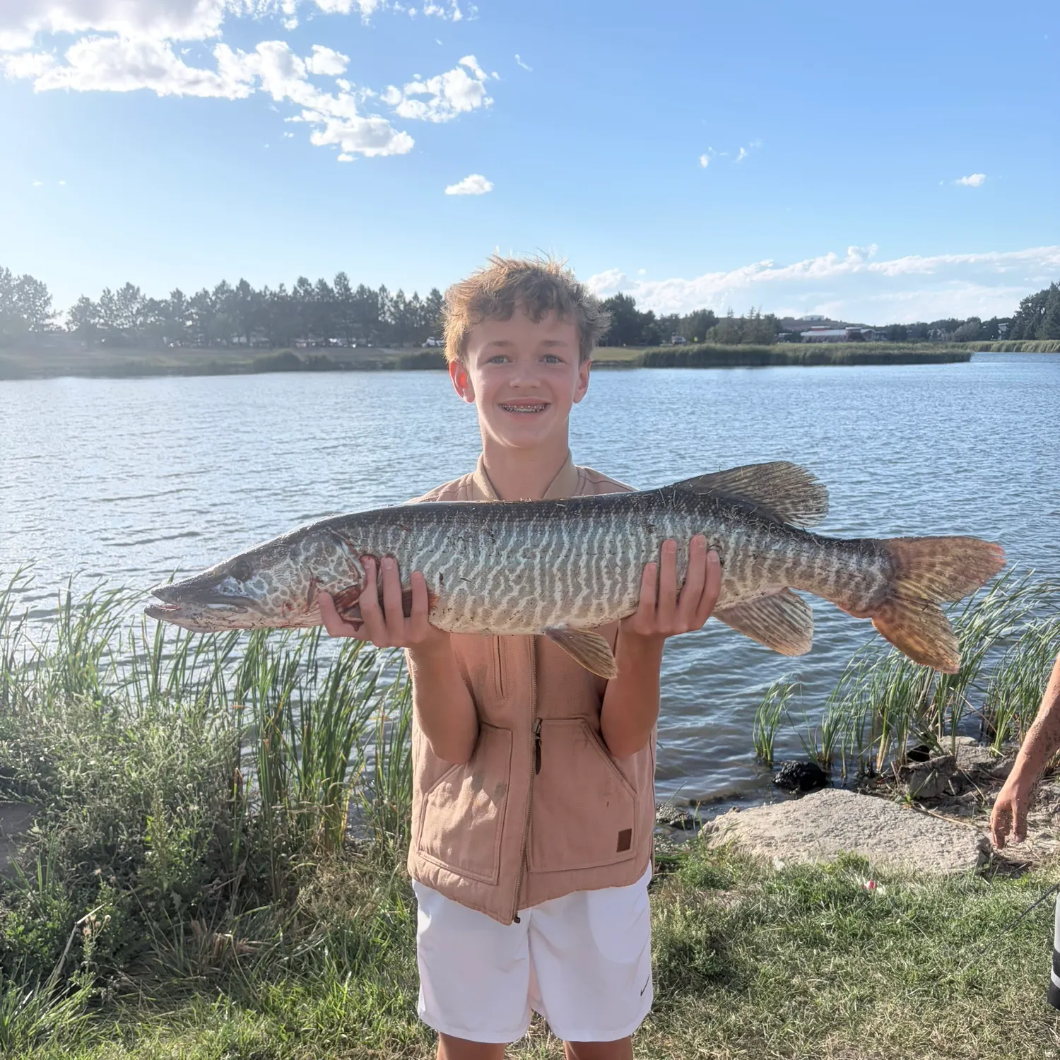 Rainbow trout caught on Fishbrain