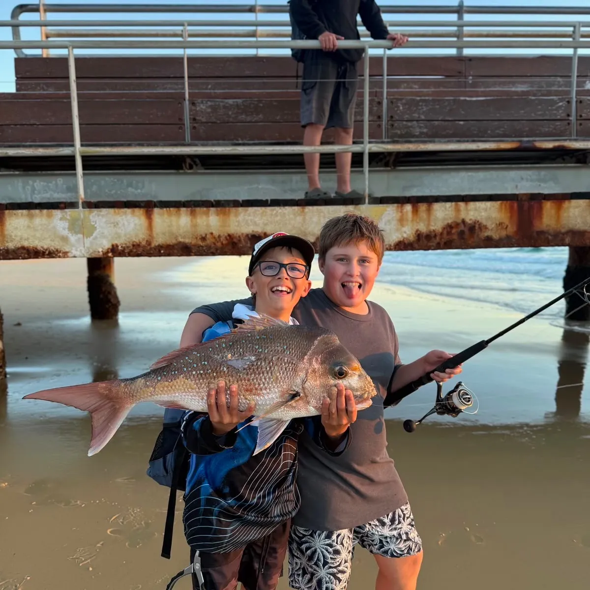 Australasian snapper caught on Fishbrain