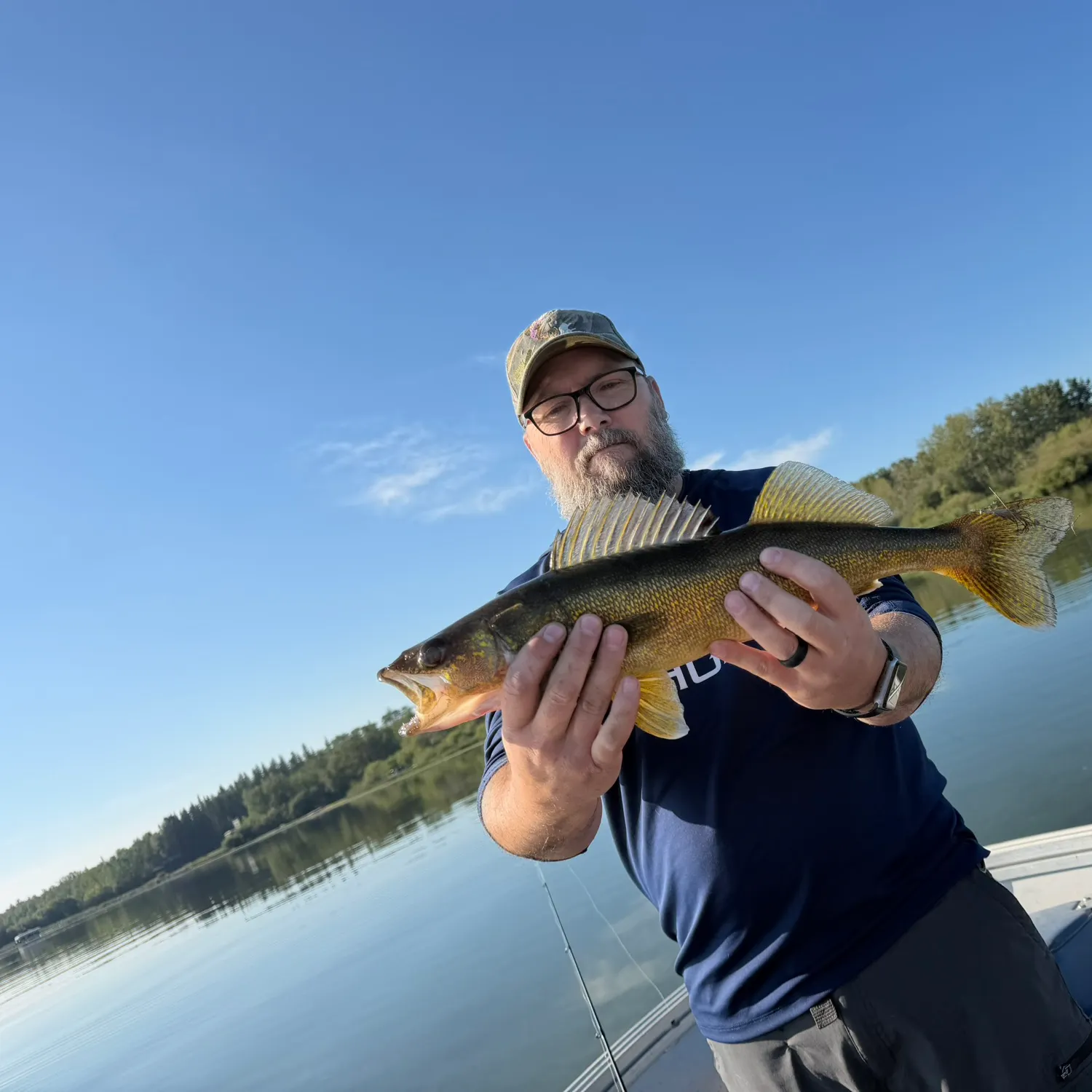 Walleye caught on Fishbrain