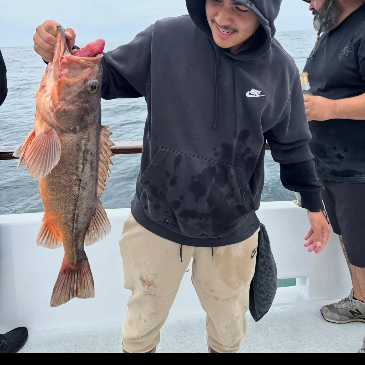 The most recent Bocaccio rockfish catches on Fishbrain