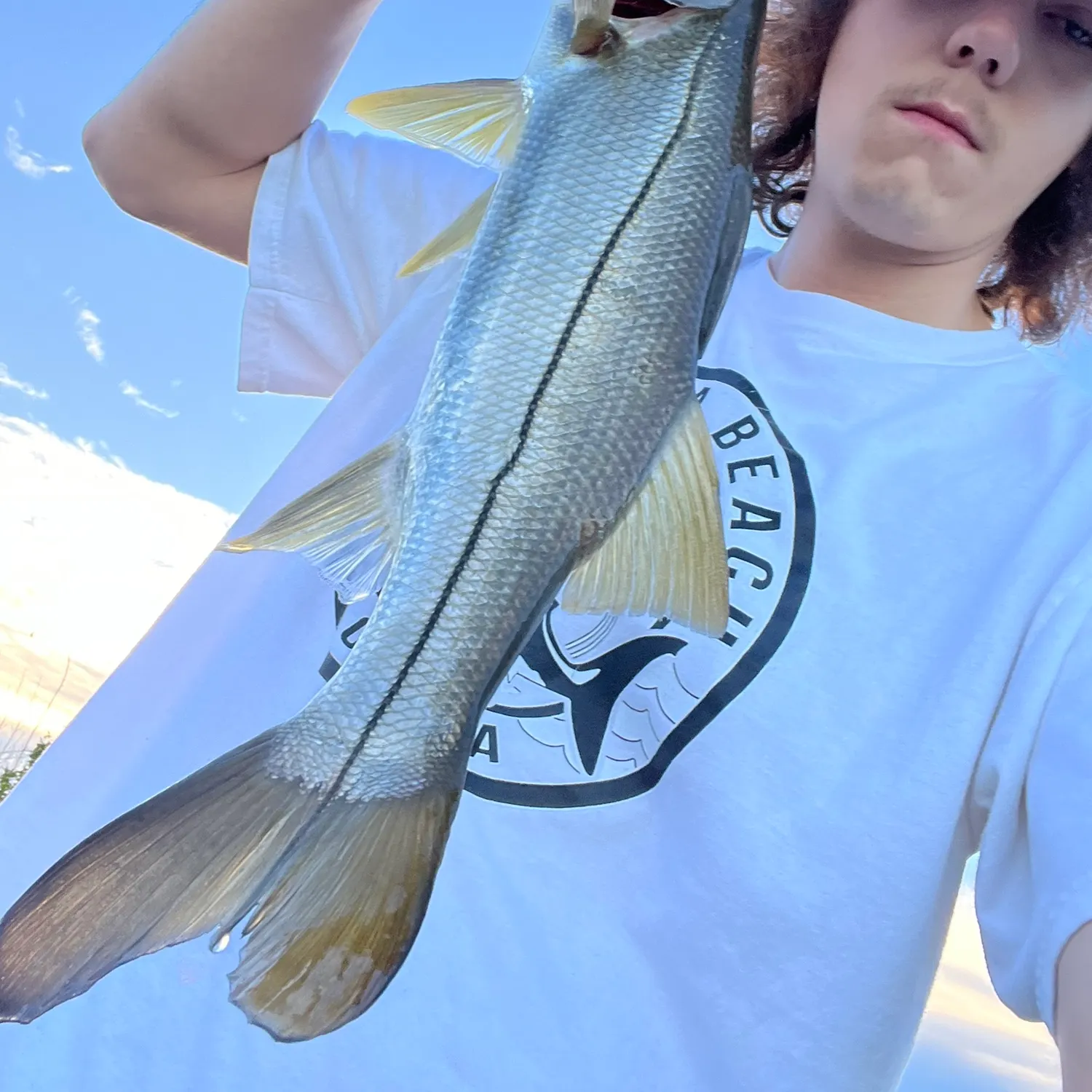 Common snook caught on Fishbrain
