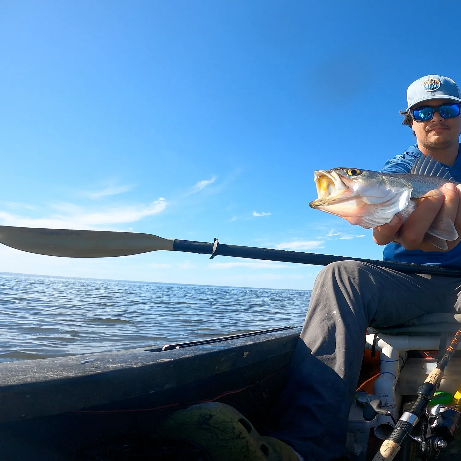 The most recent Spotted seatrout catches on Fishbrain