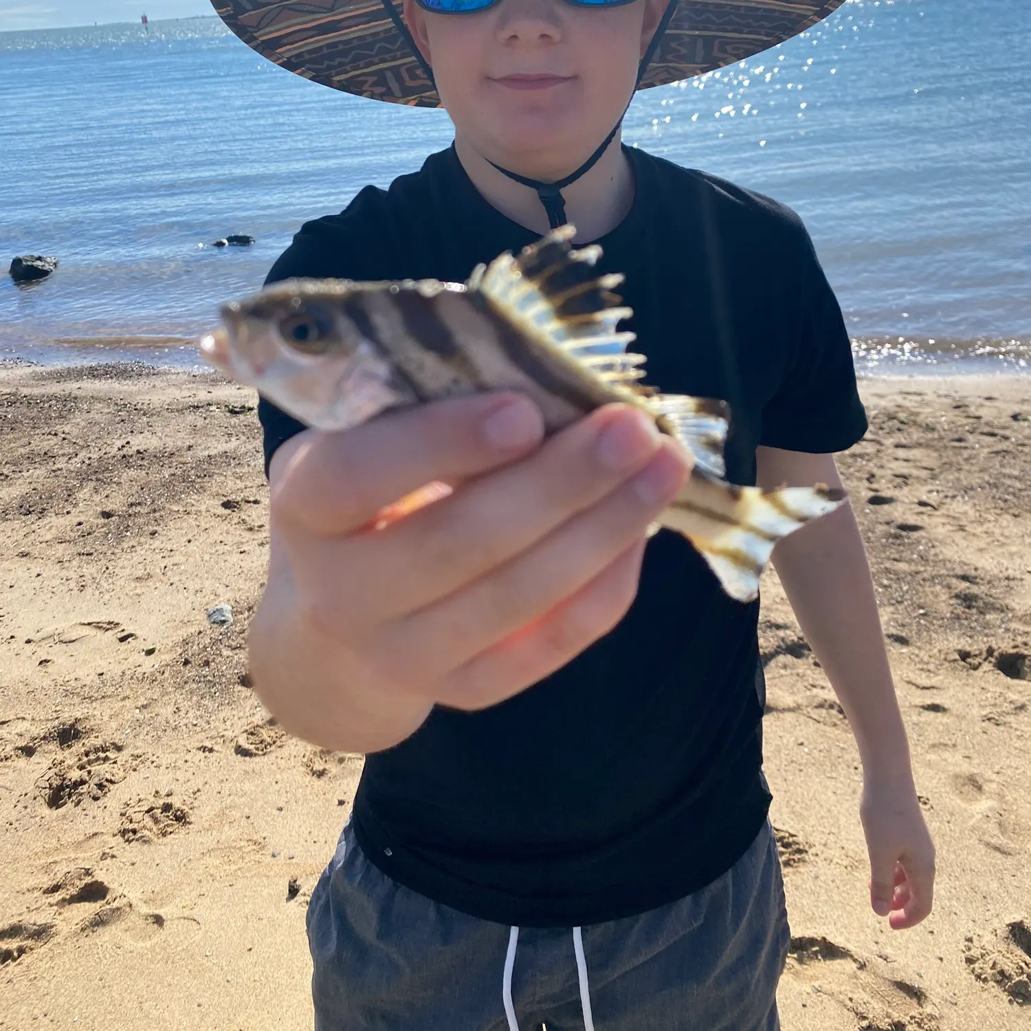 The most recent Jarbua terapon catches on Fishbrain
