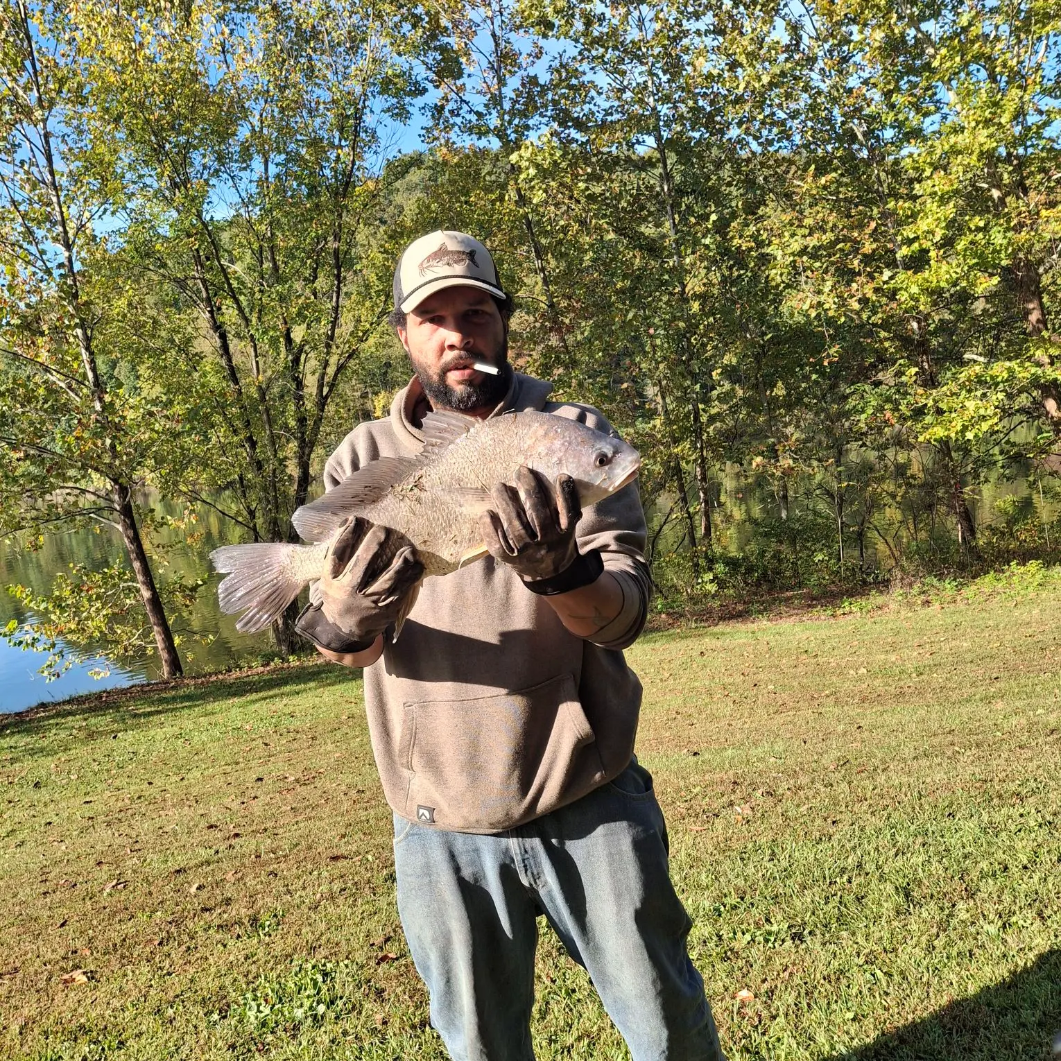 Freshwater drum caught on Fishbrain