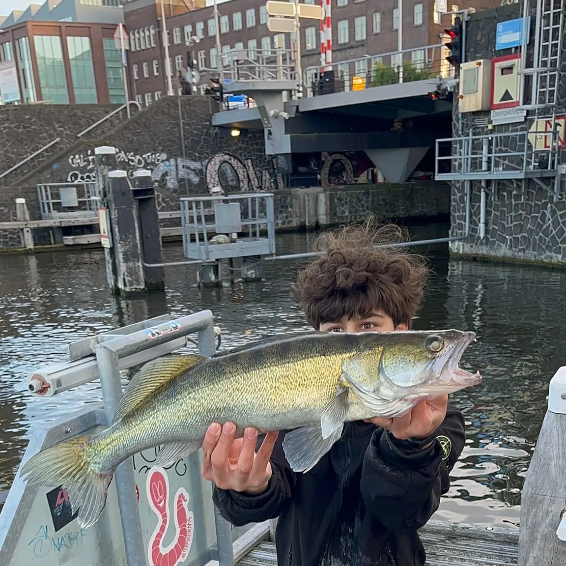 Zander caught on Fishbrain