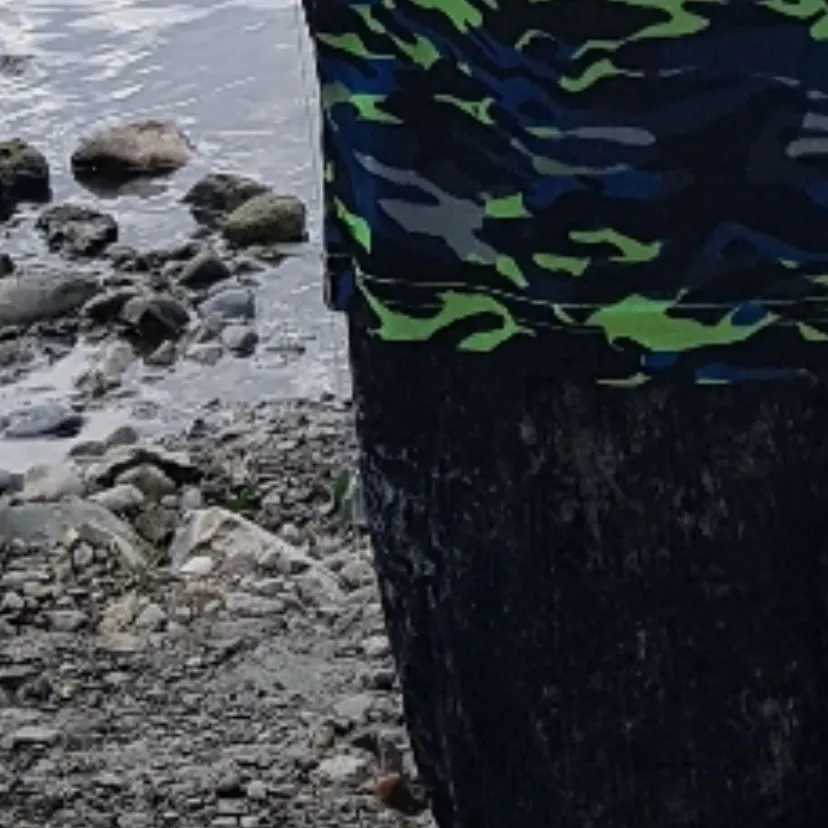 The most recent Rock bass catches on Fishbrain