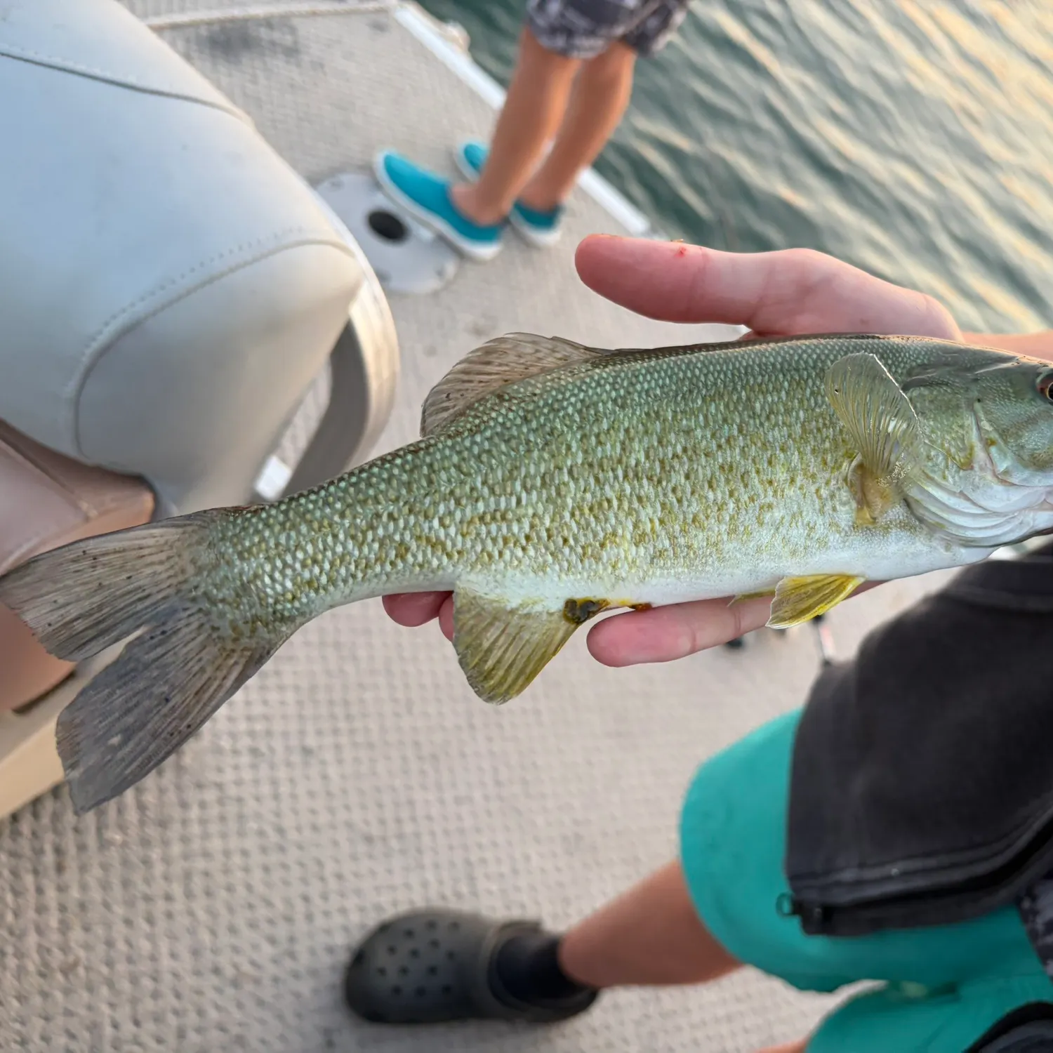 Smallmouth bass caught on Fishbrain