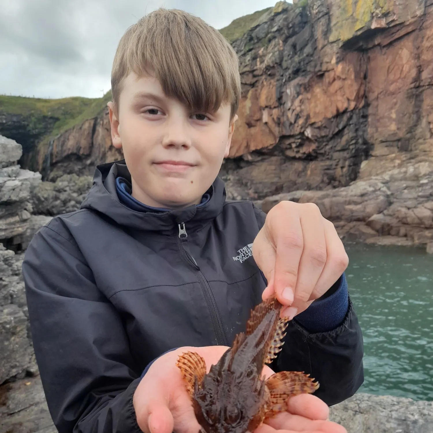 The most recent Small red scorpionfish catches on Fishbrain