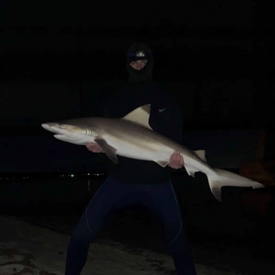 The most recent Blacktip shark catches on Fishbrain