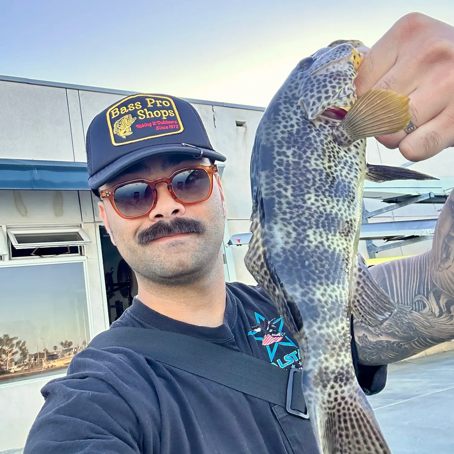 Spotted sand bass caught on Fishbrain