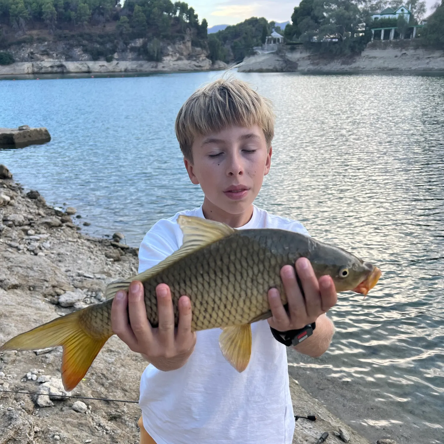 Common carp caught on Fishbrain