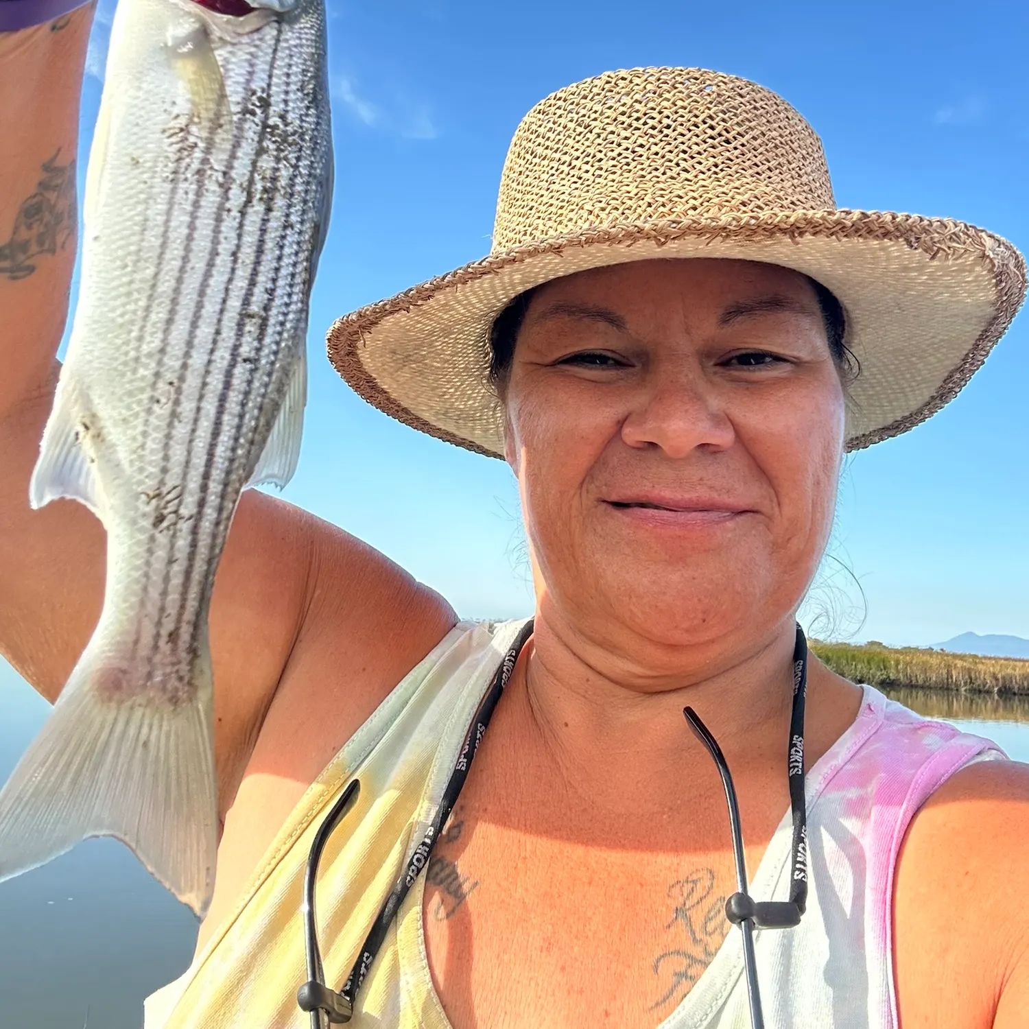 The most recent Striped bass catches on Fishbrain