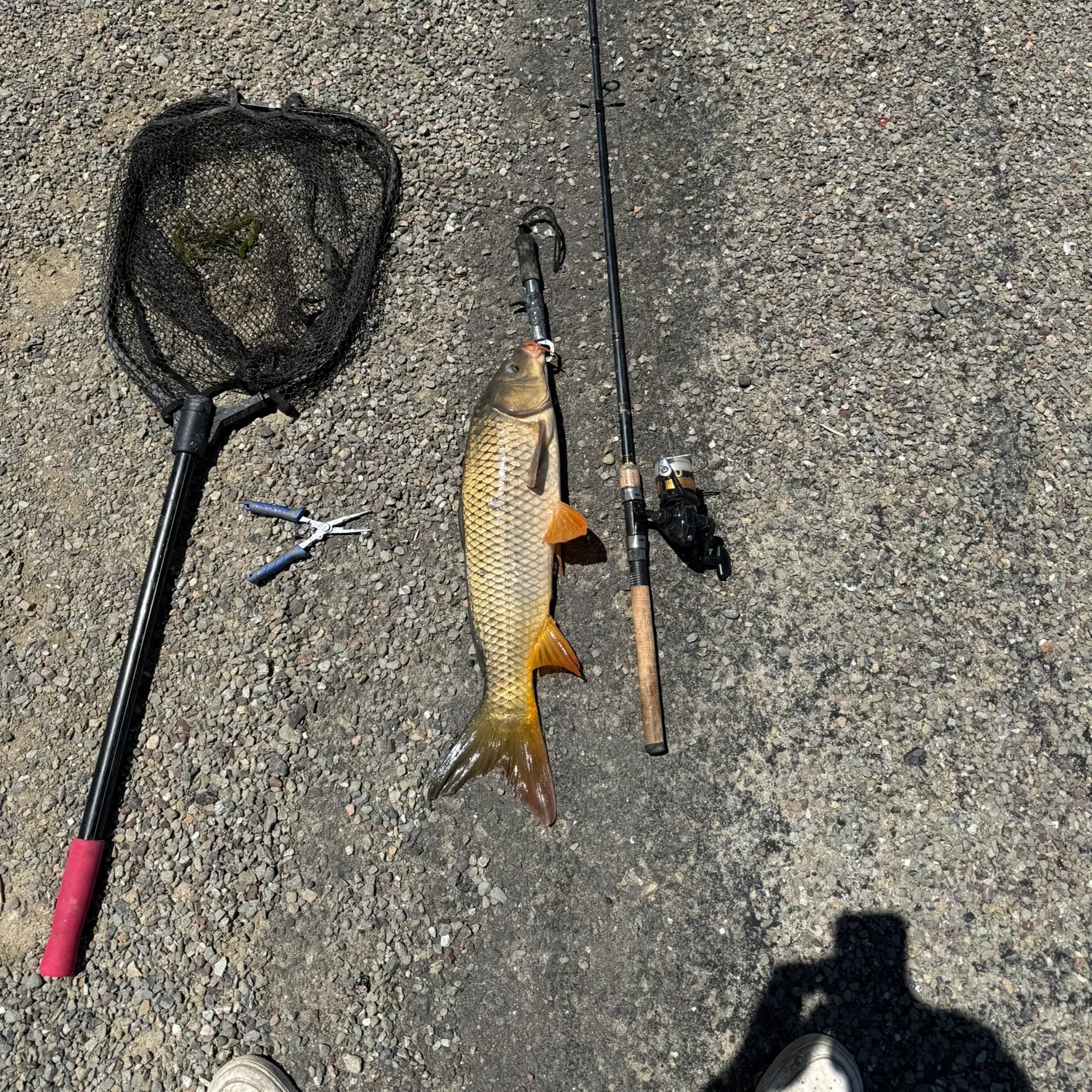 catch