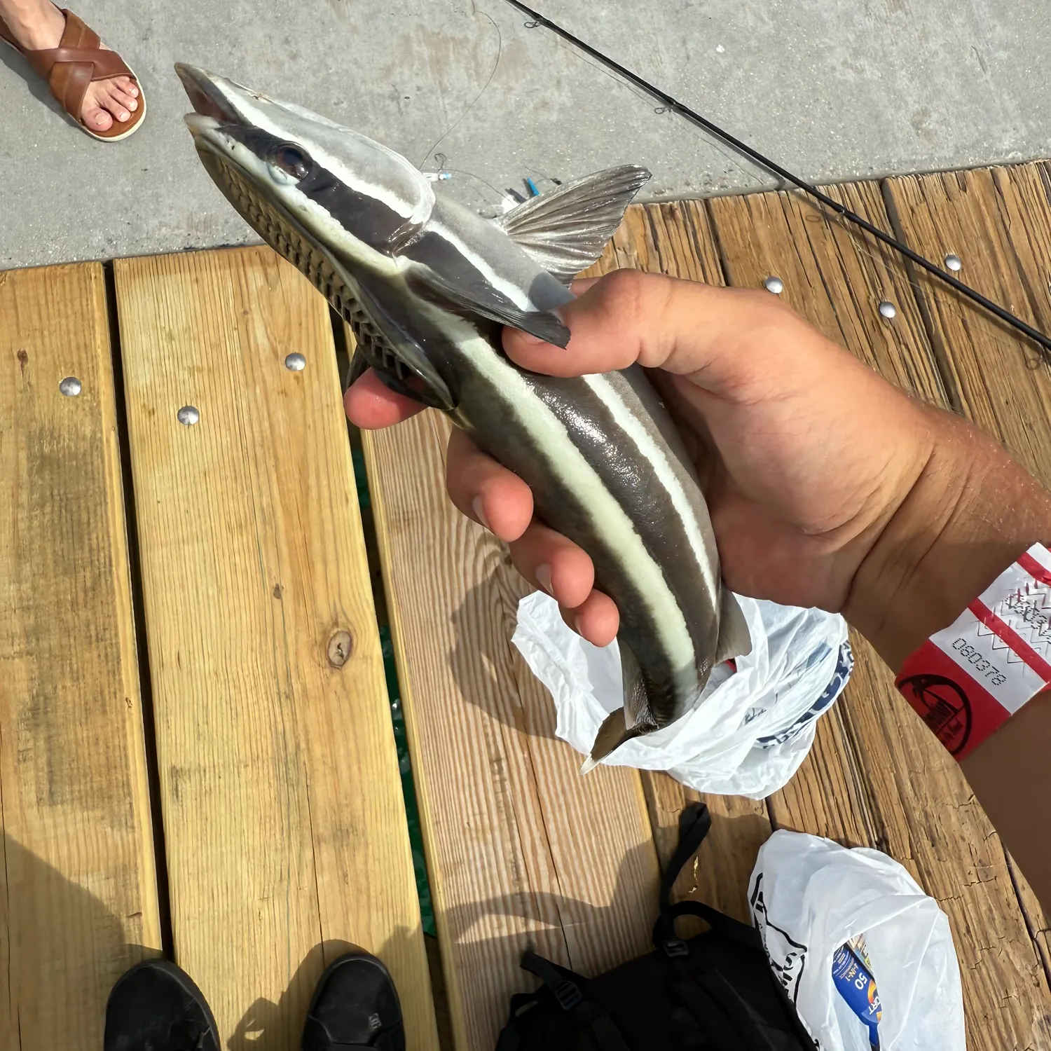 catch