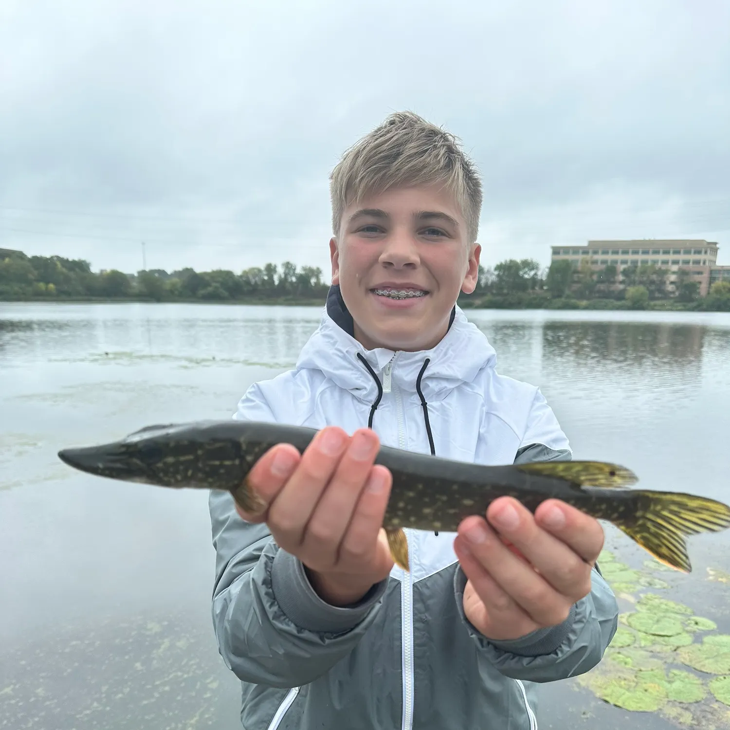 Northern pike caught on Fishbrain
