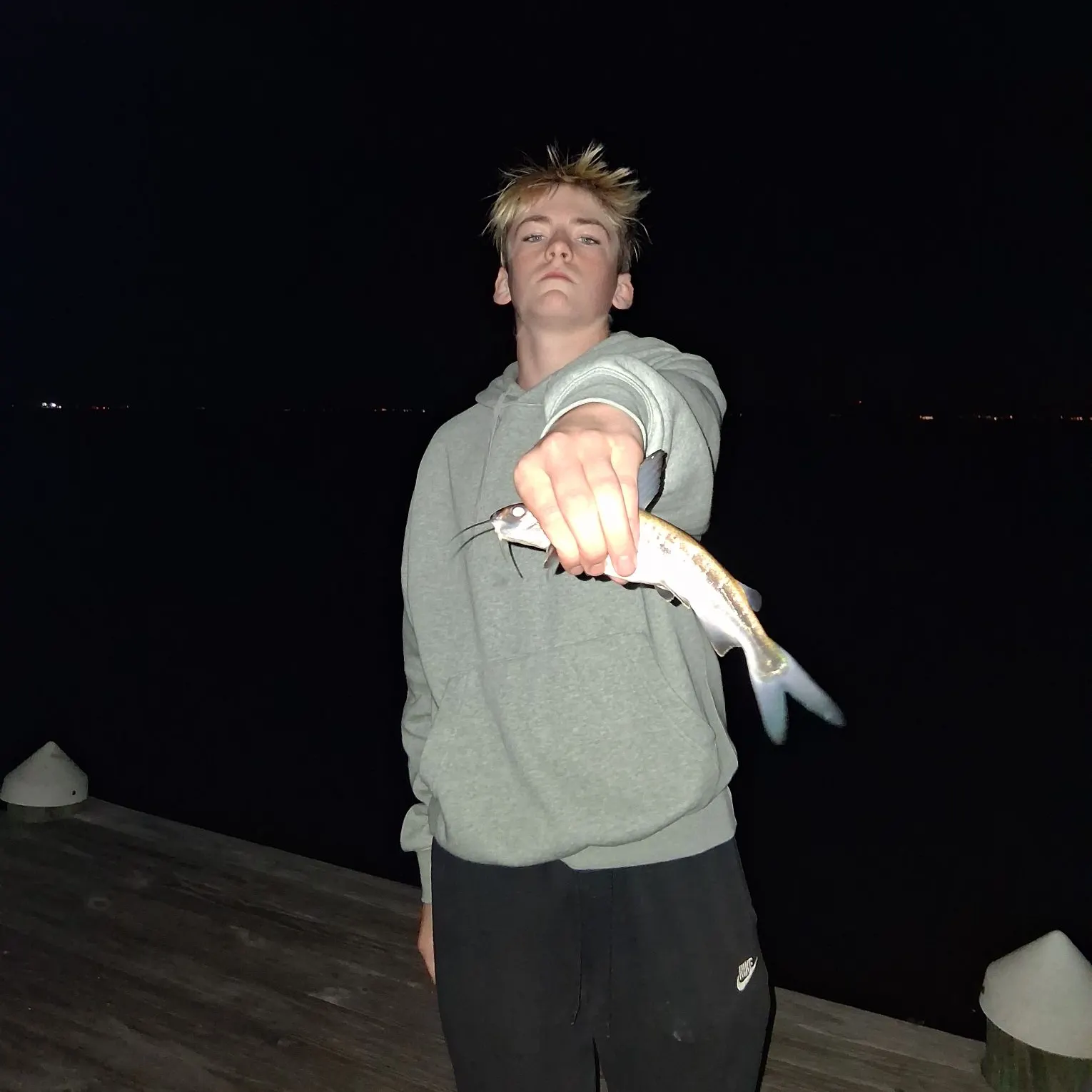 Hardhead sea catfish caught on Fishbrain