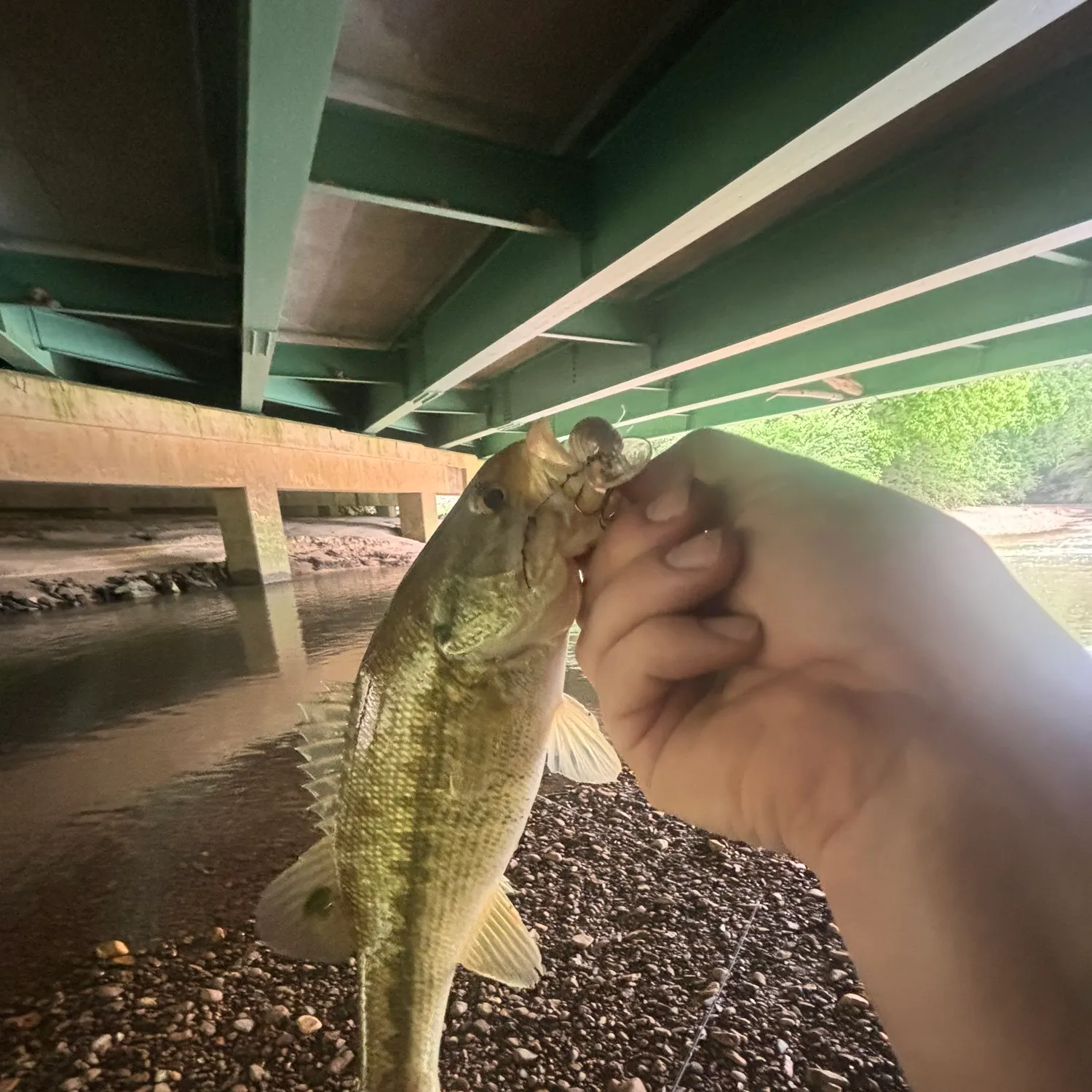 most liked catch image