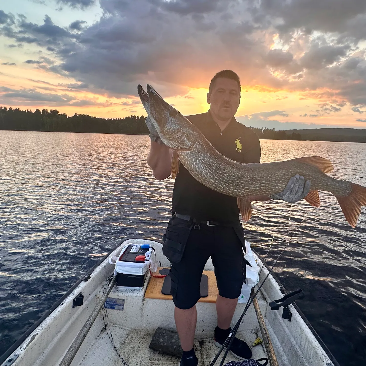 Northern pike caught on Fishbrain