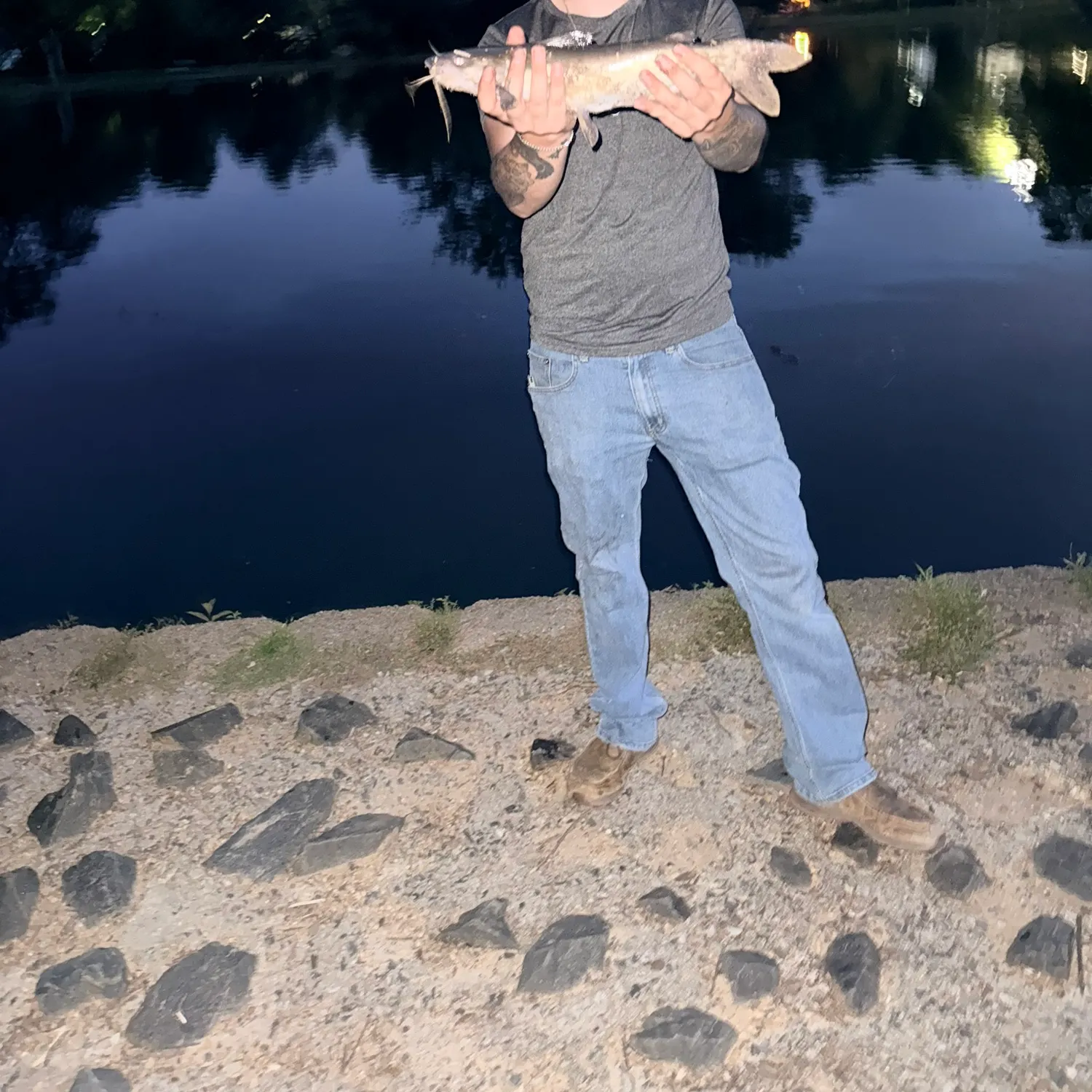 Channel catfish caught on Fishbrain