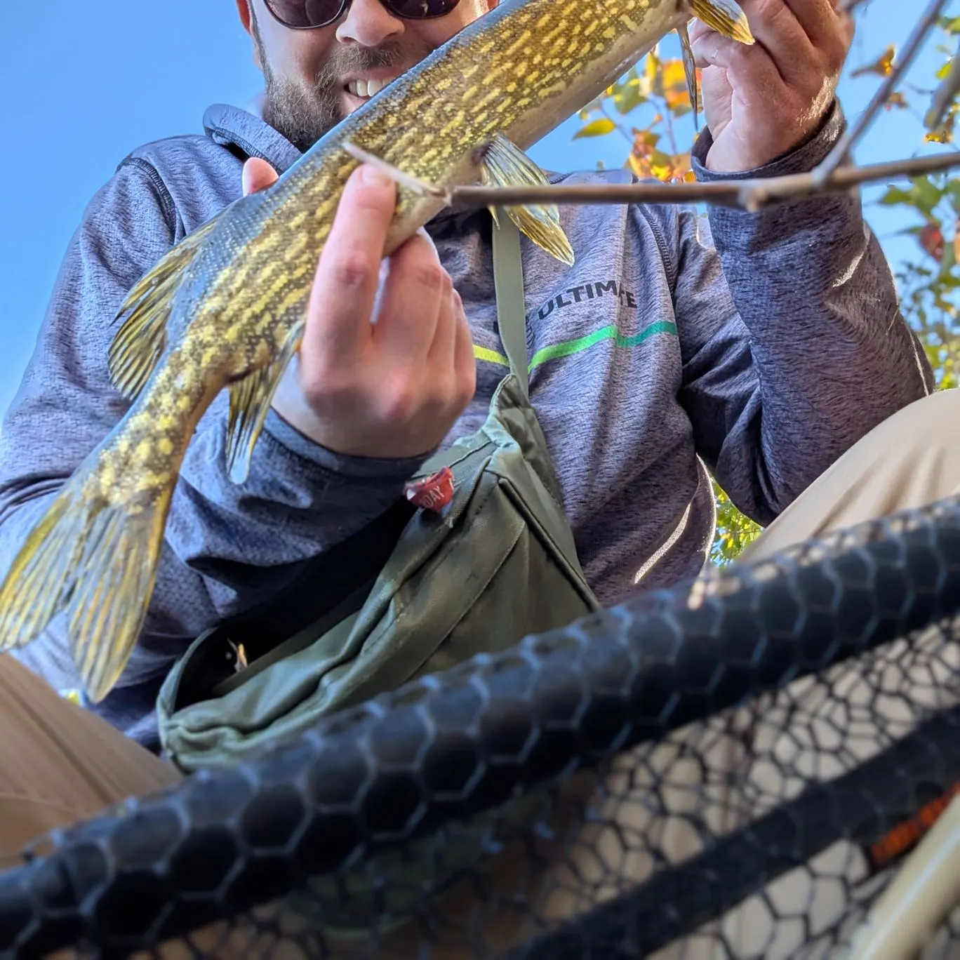 Northern pike caught on Fishbrain