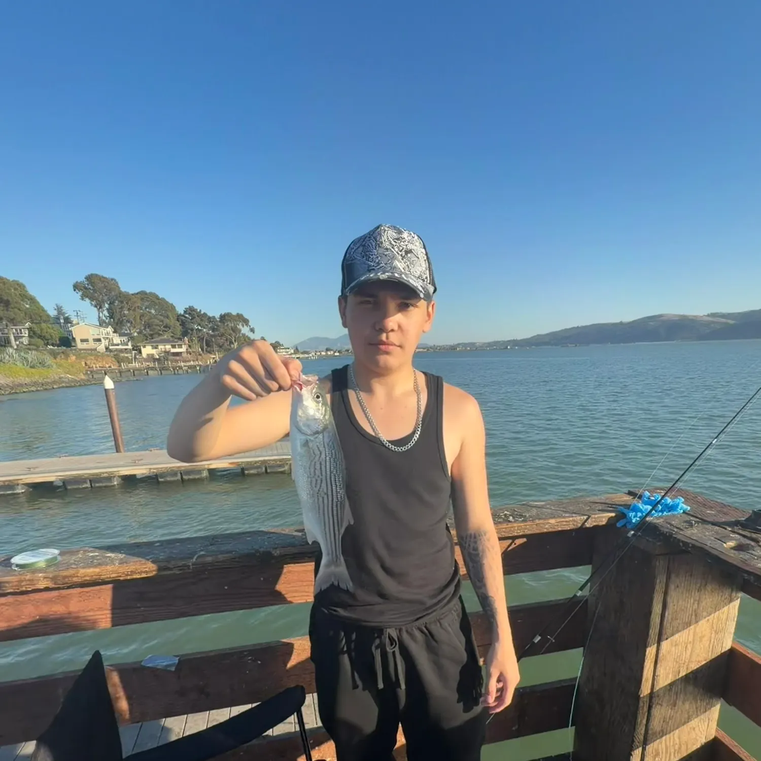 Striped bass caught on Fishbrain