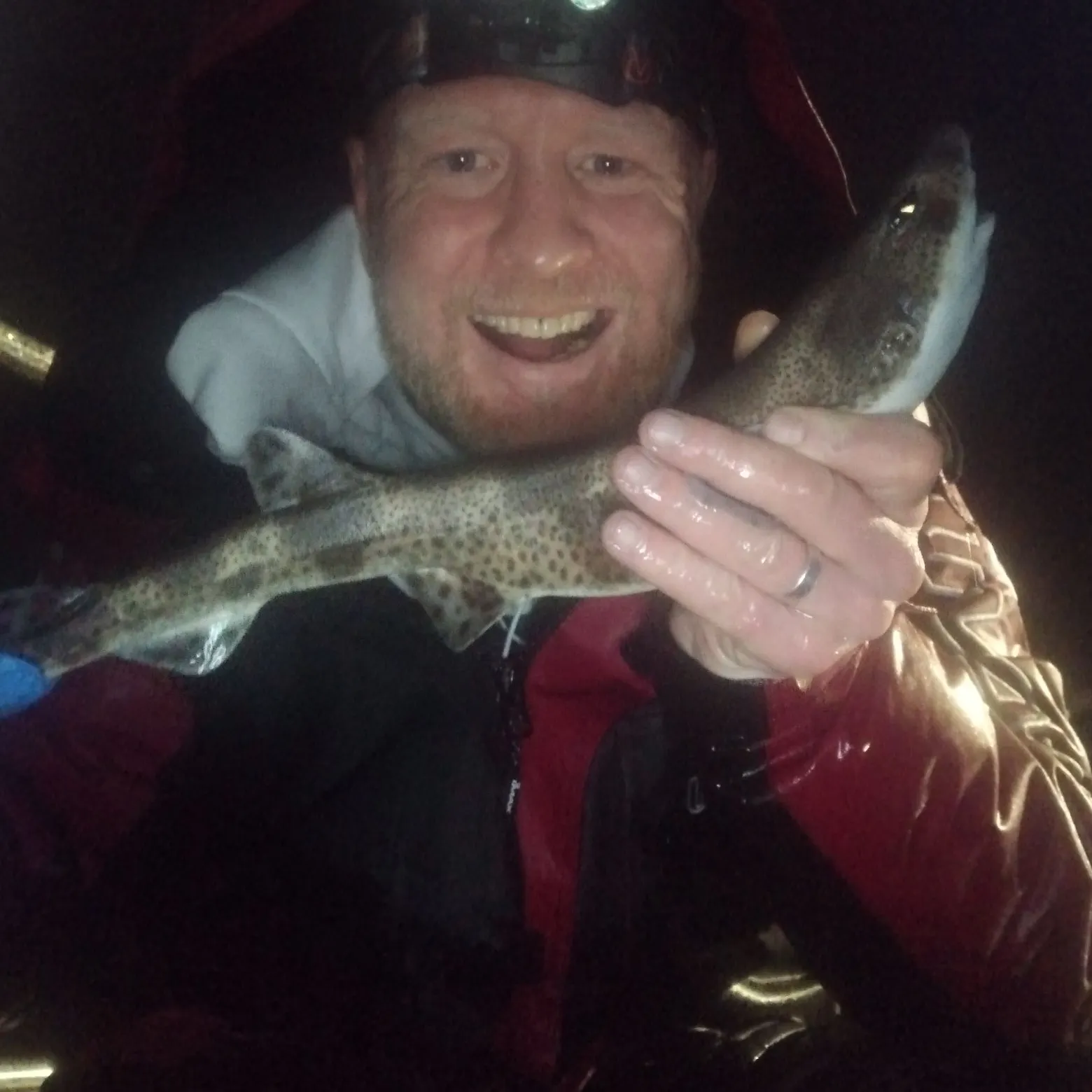 The most recent Lesser spotted dogfish catches on Fishbrain