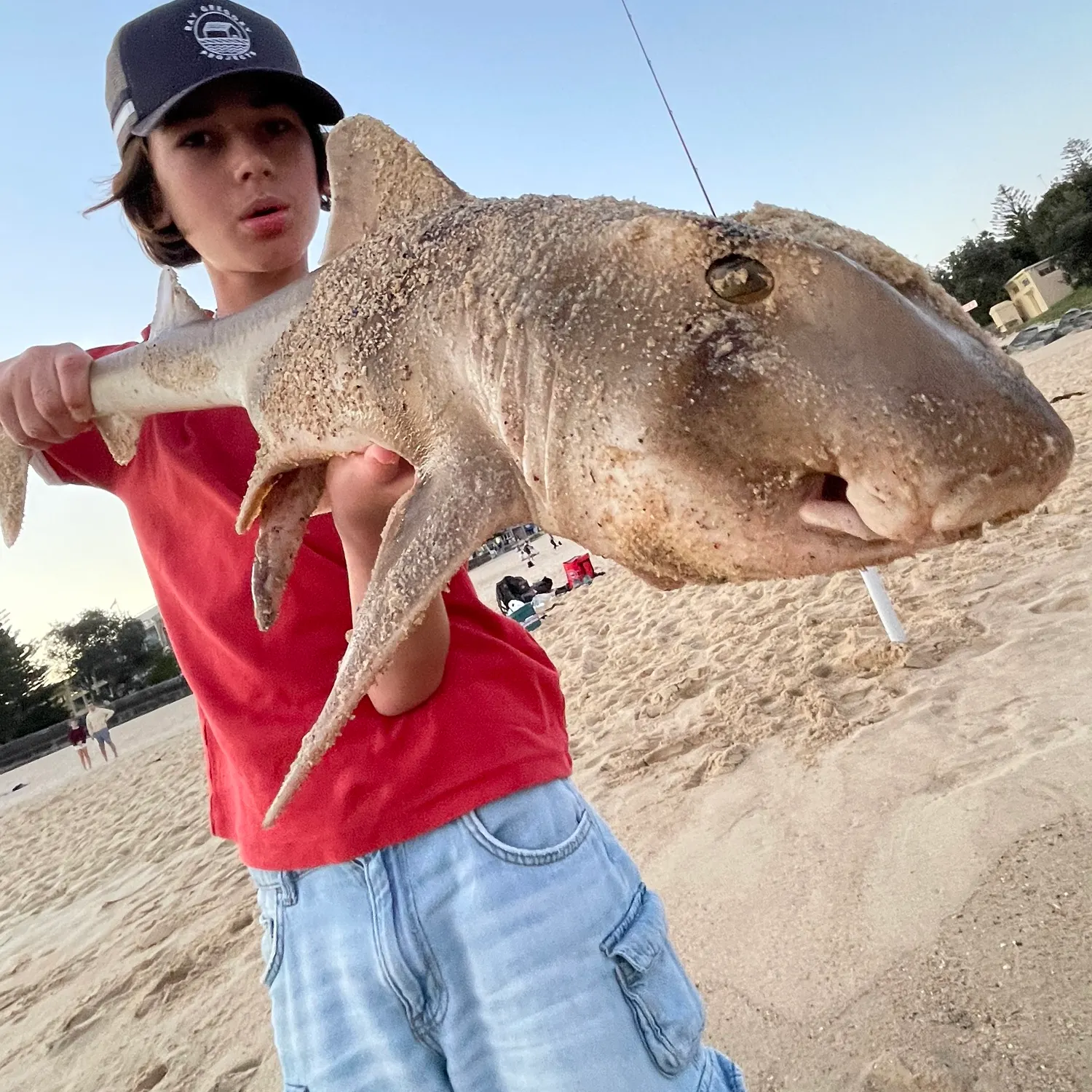 Port Jackson shark caught on Fishbrain