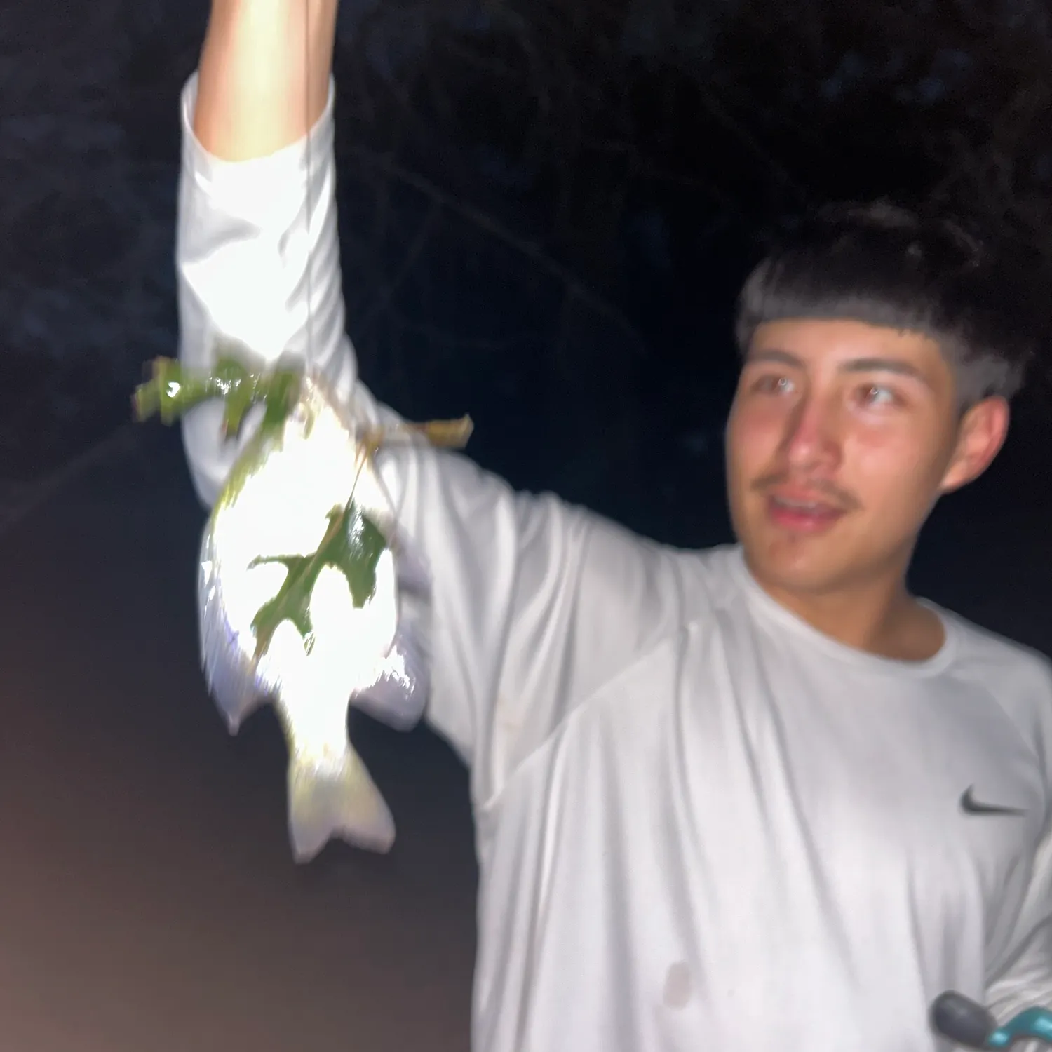 Spot croaker caught on Fishbrain