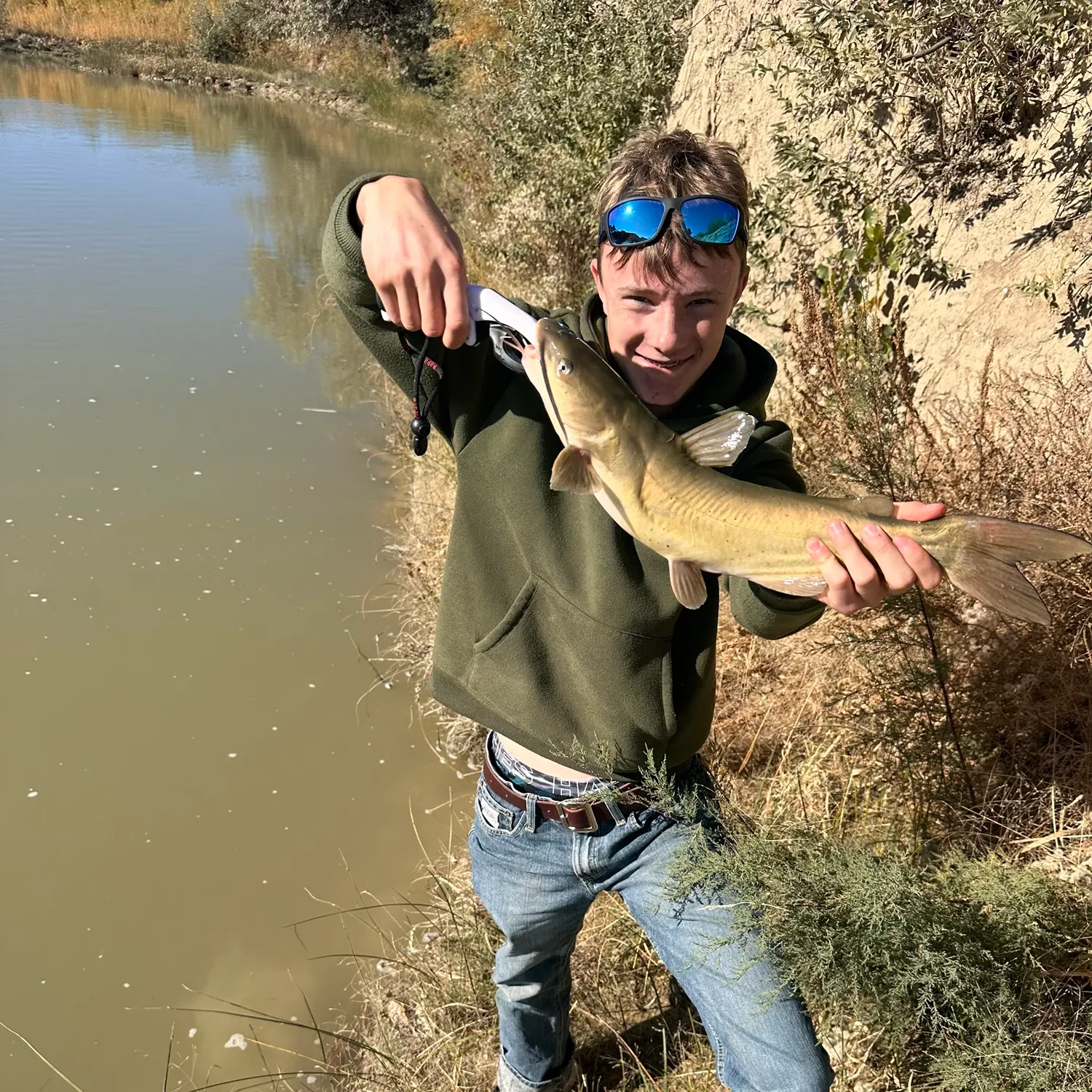 Channel catfish caught on Fishbrain