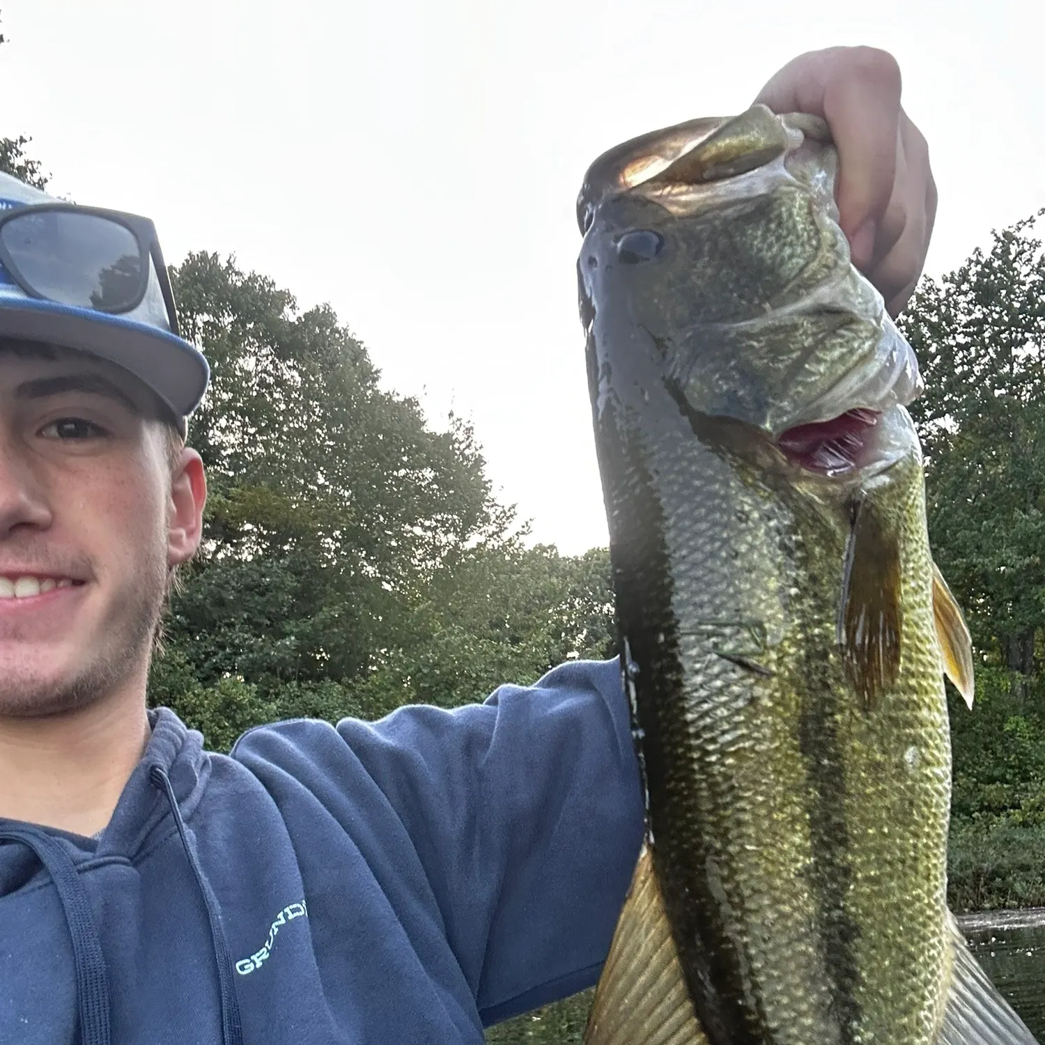 Largemouth bass caught on Fishbrain