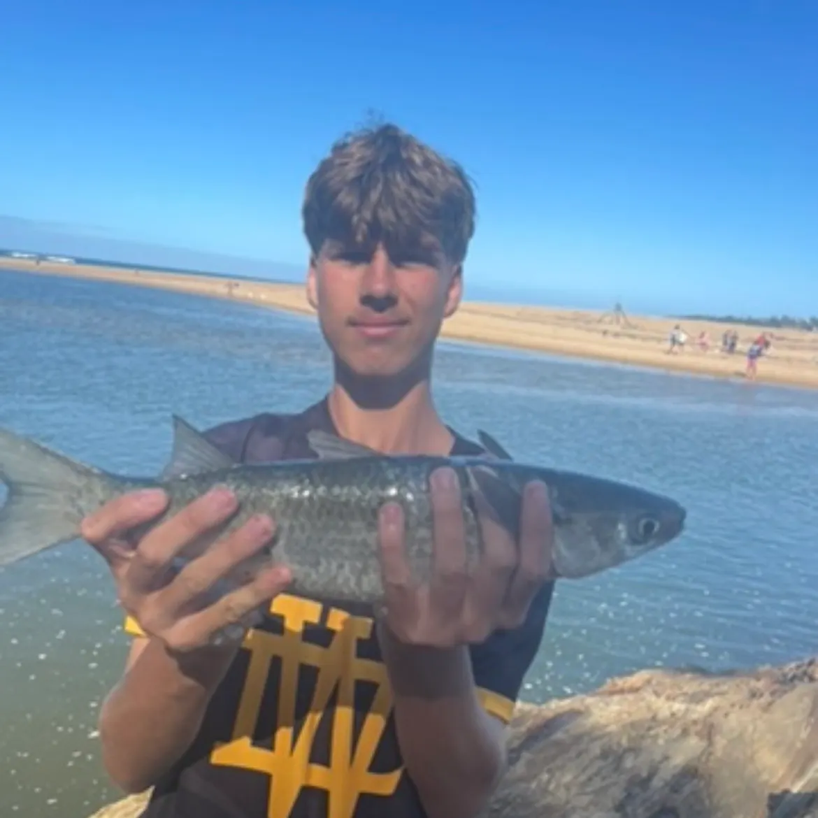 The most recent Striped mullet catches on Fishbrain