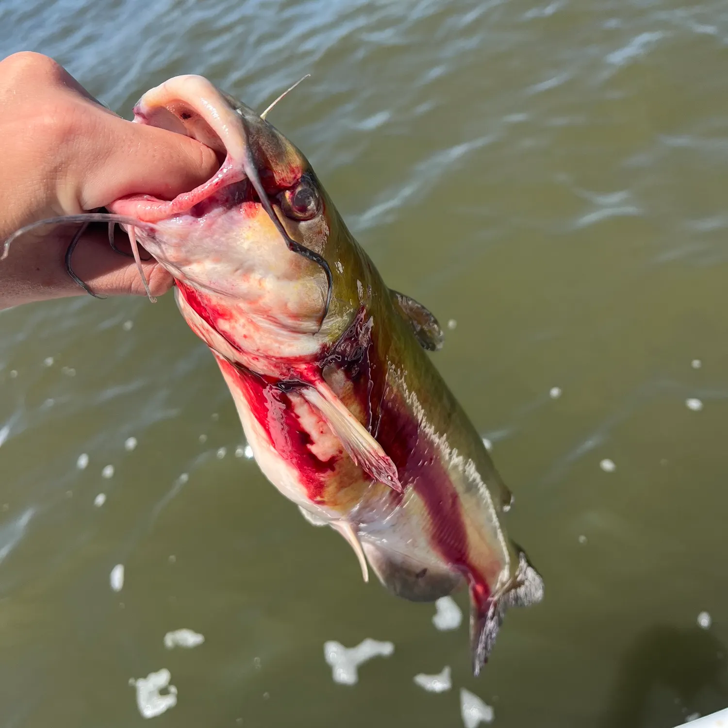 catch
