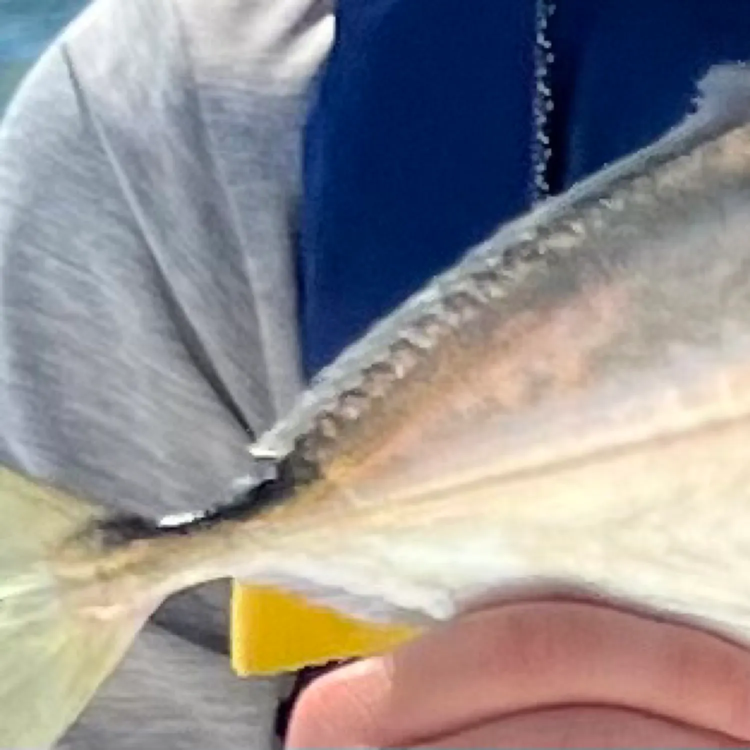 most liked catch image