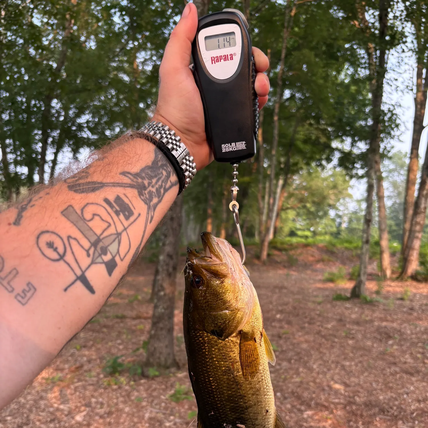 recently logged catches