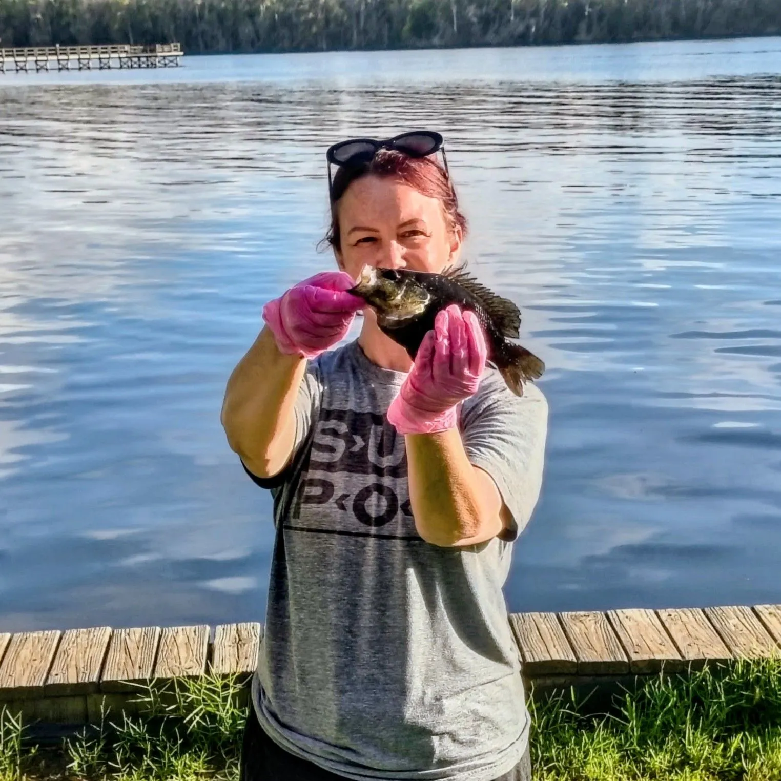 Warmouth caught on Fishbrain